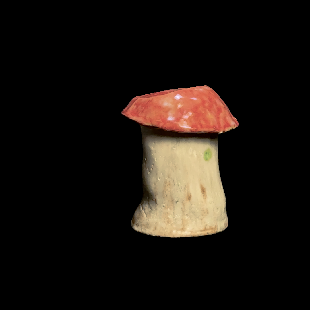 Mushroom