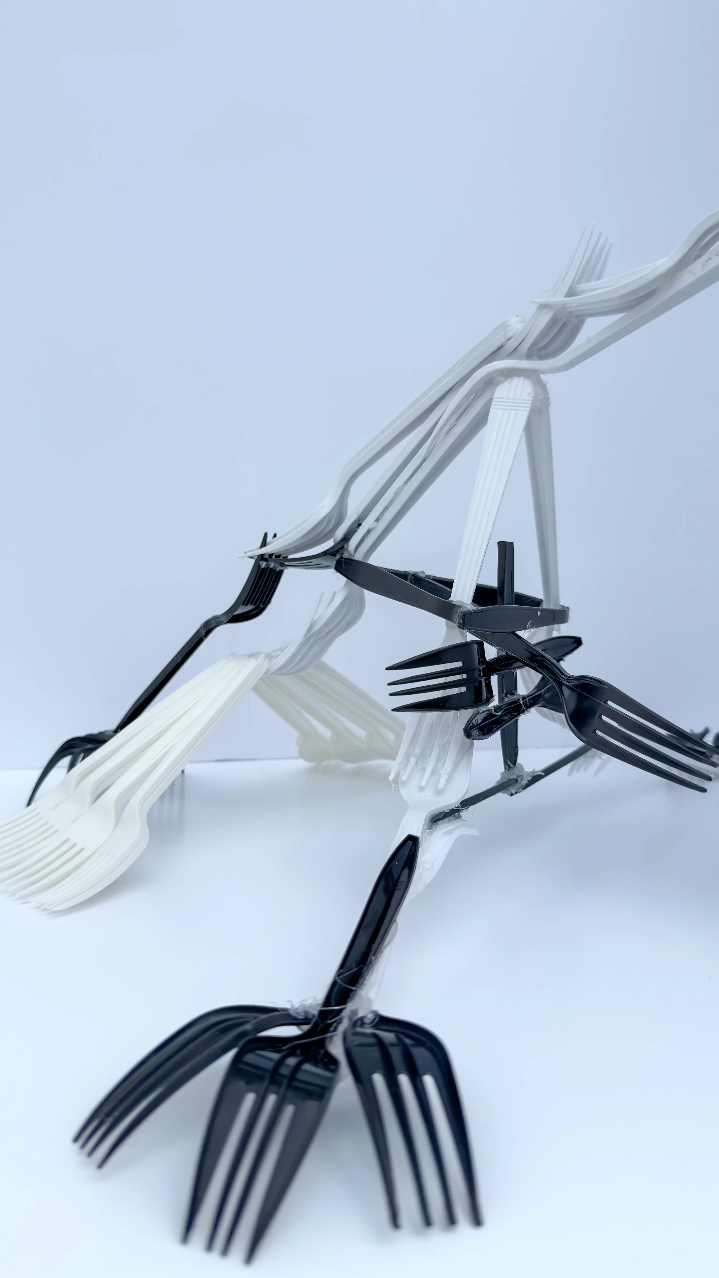 forkla-8.jpg