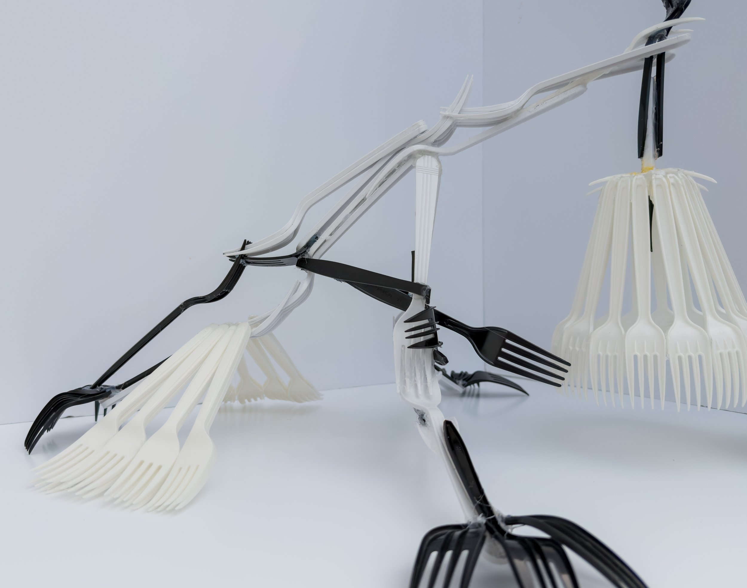 forkla-9.jpg