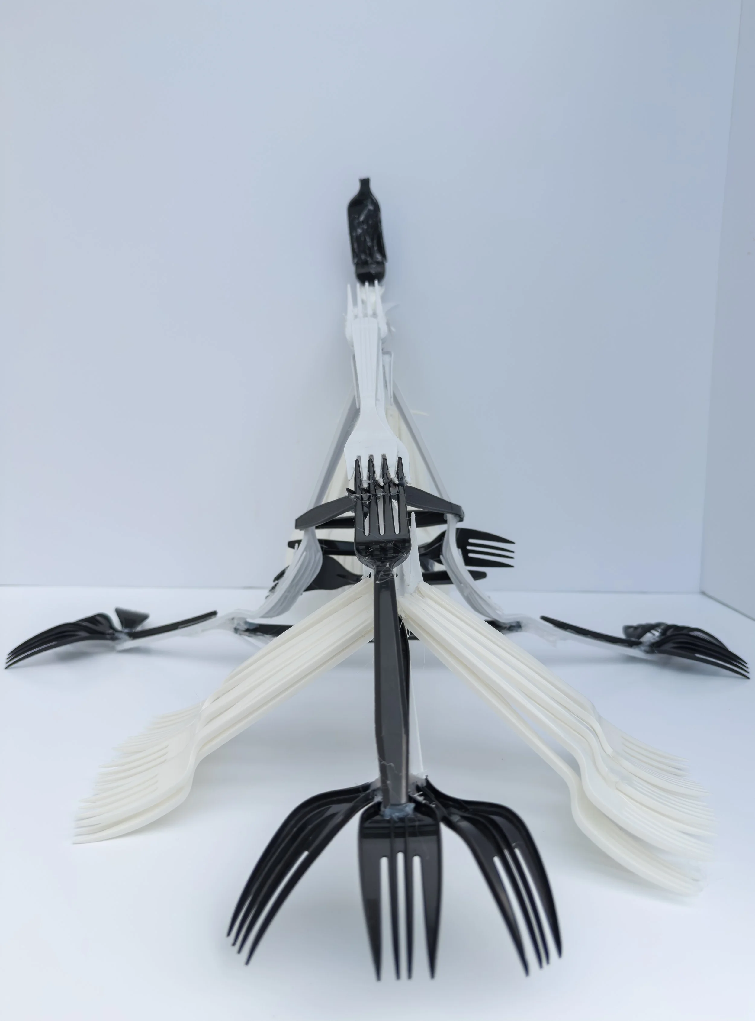 forkla-19.jpg