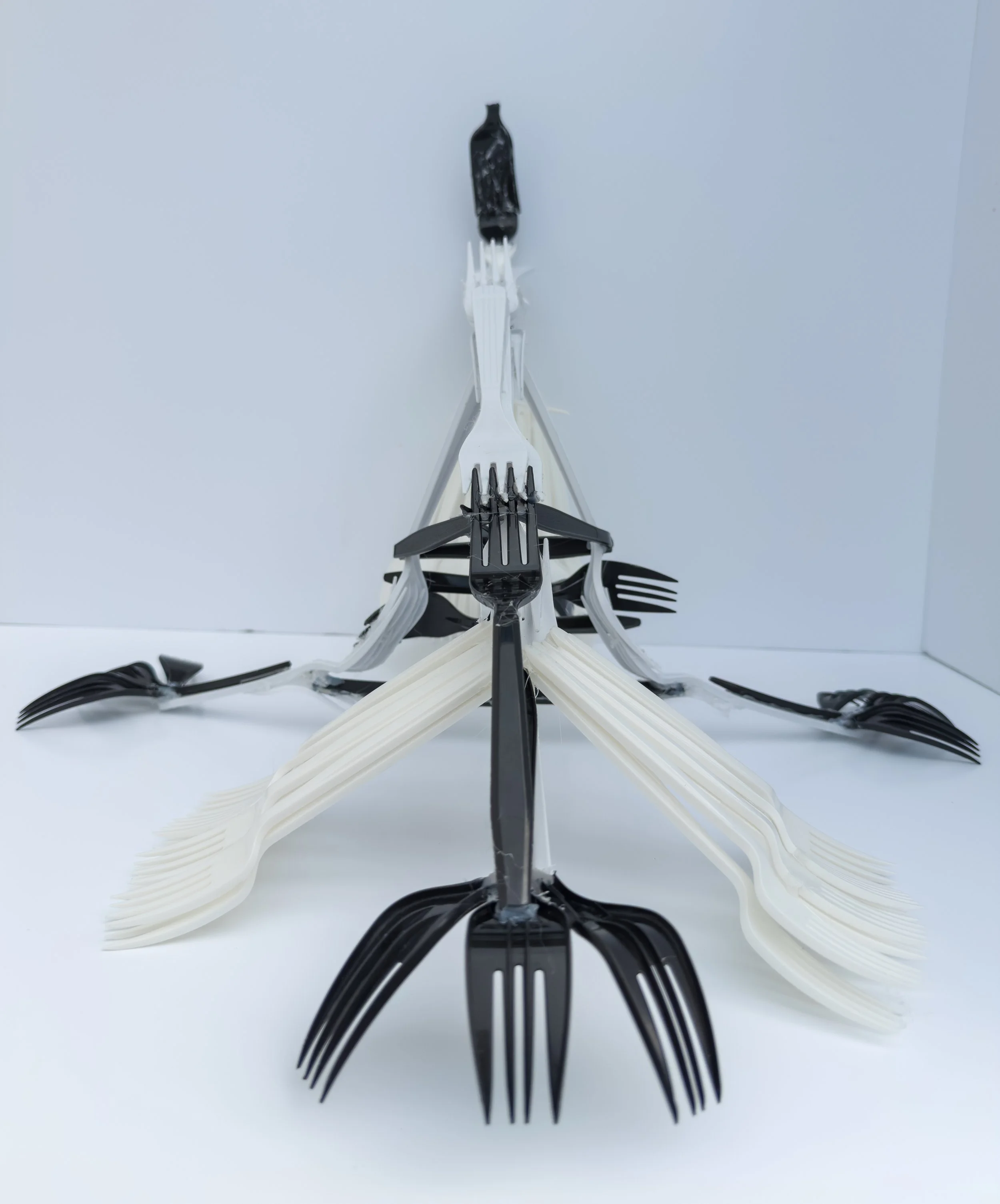 forkla-20.jpg