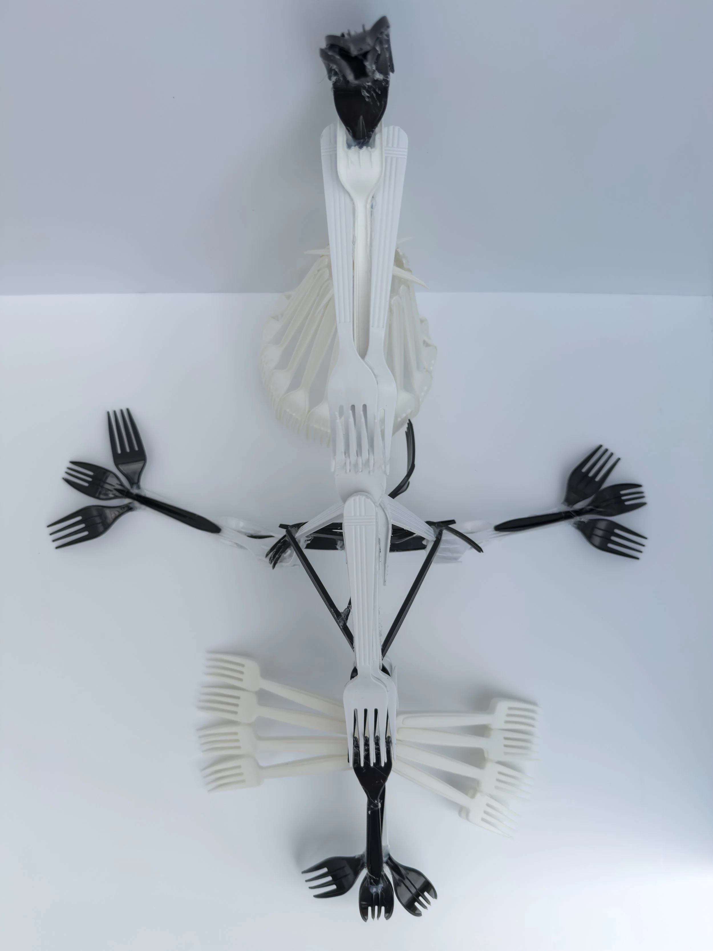 forkla-23.jpg