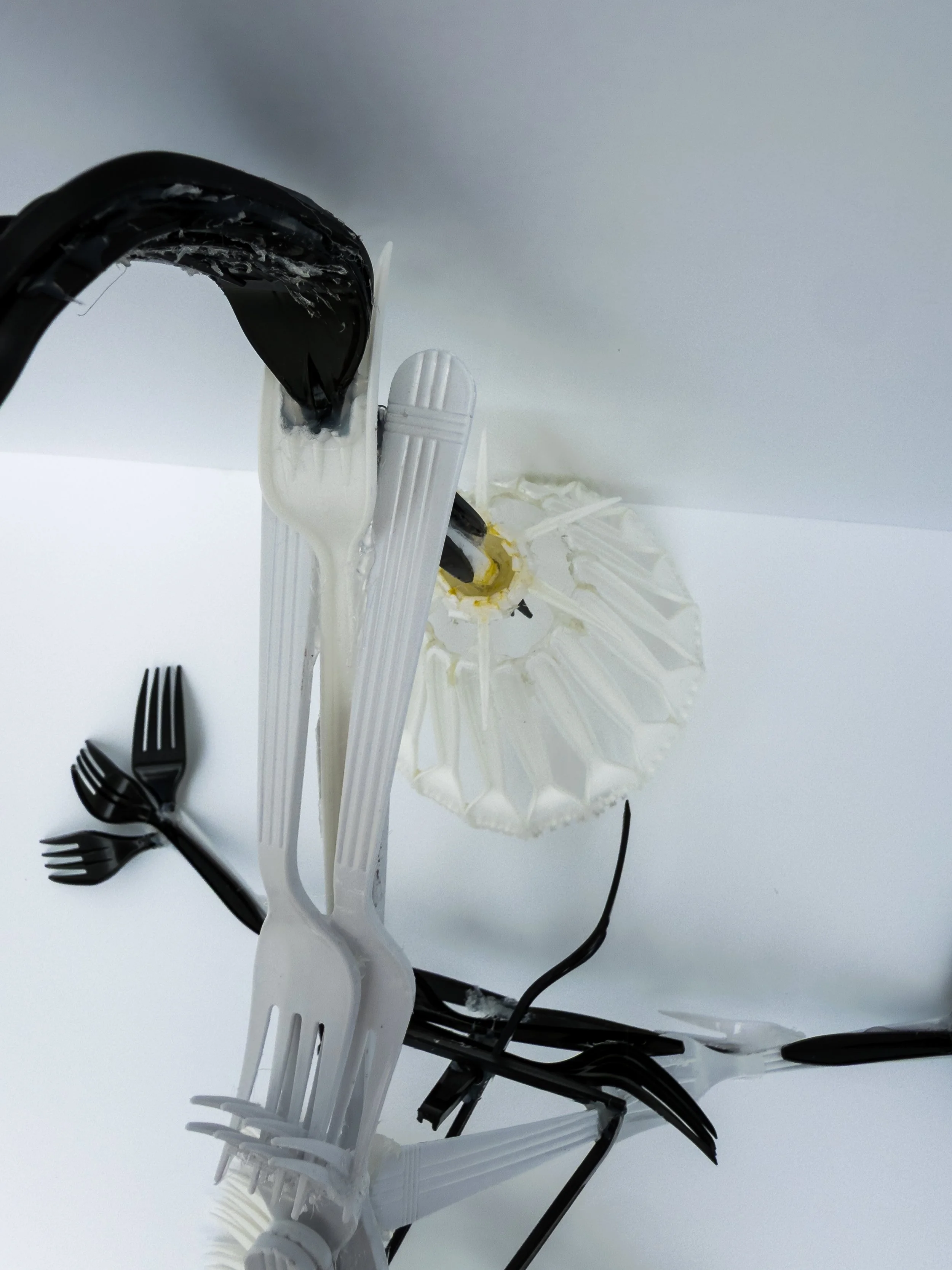 forkla-24.jpg