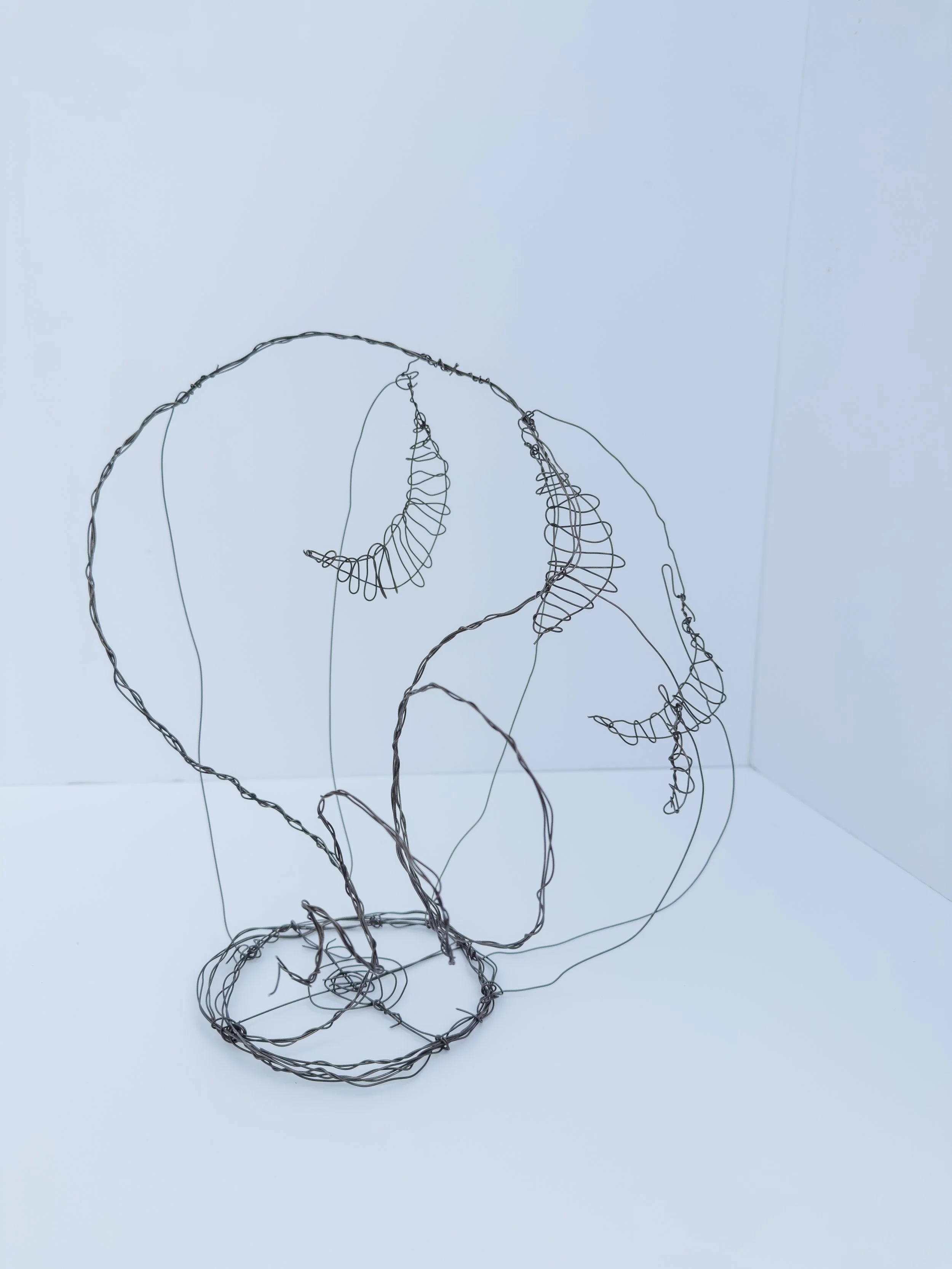 hanging-2.jpg