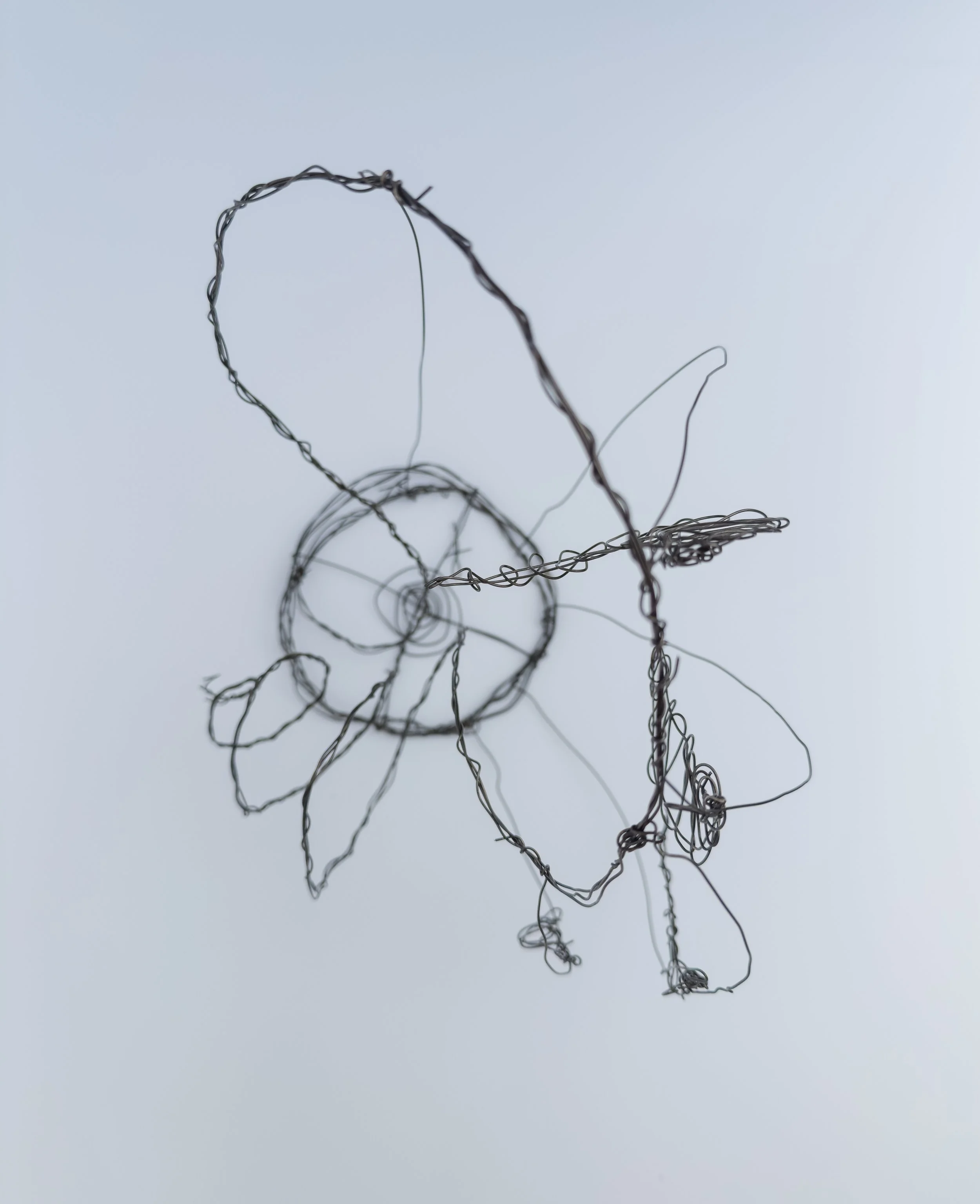 hanging-14.jpg
