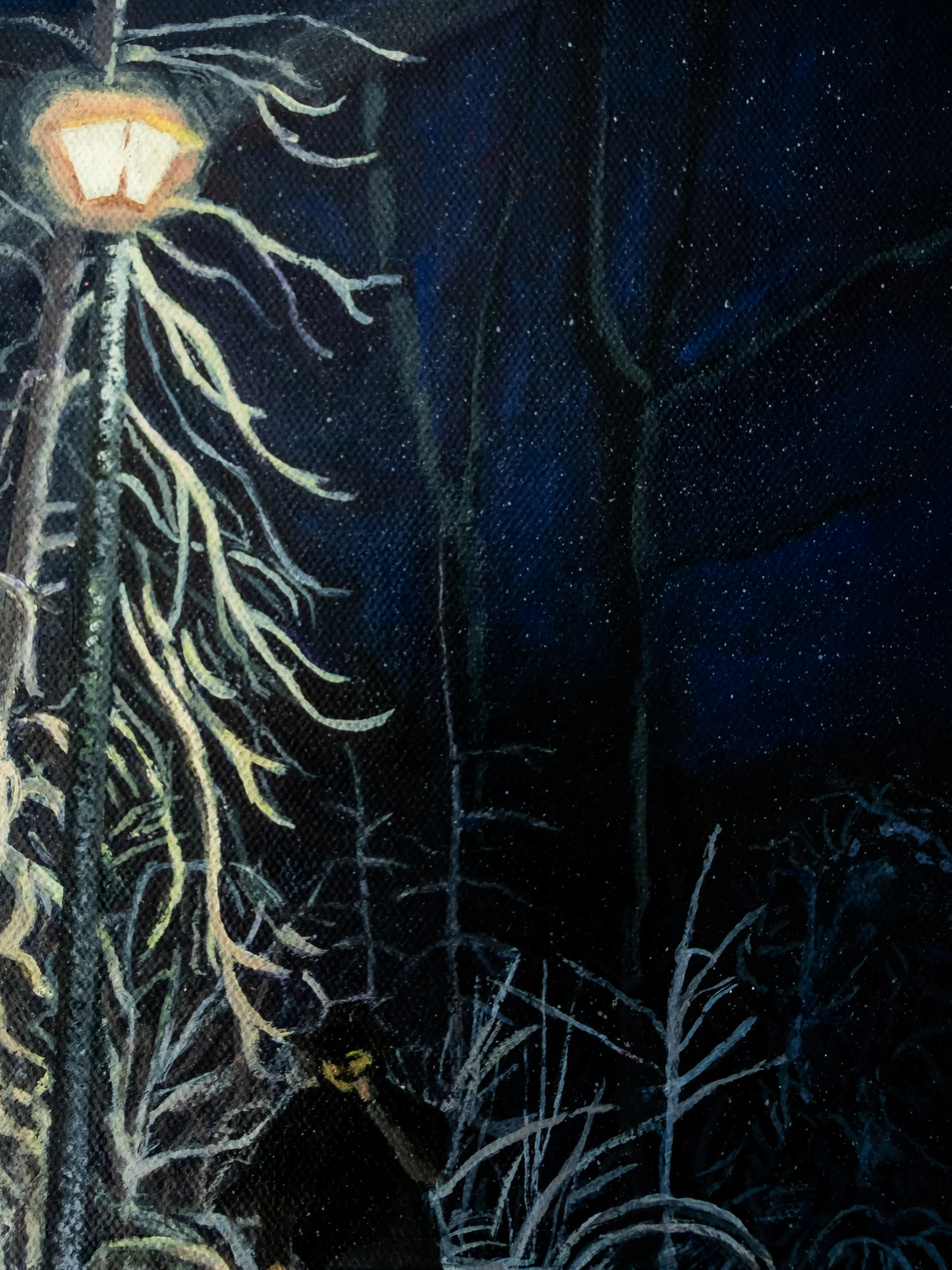 Lamp Light-5.jpg
