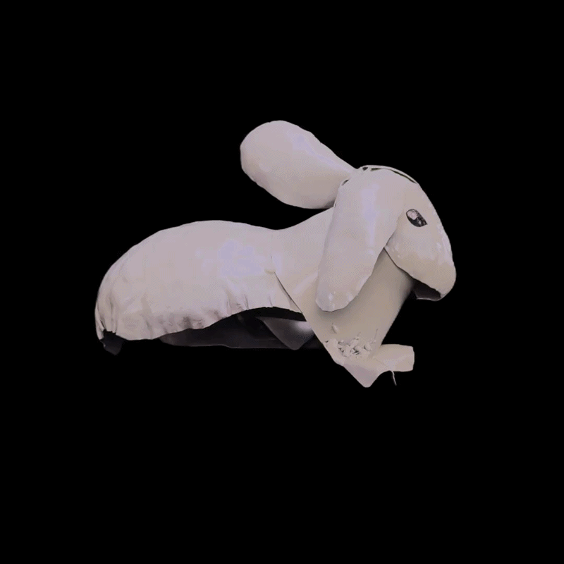 Bunny