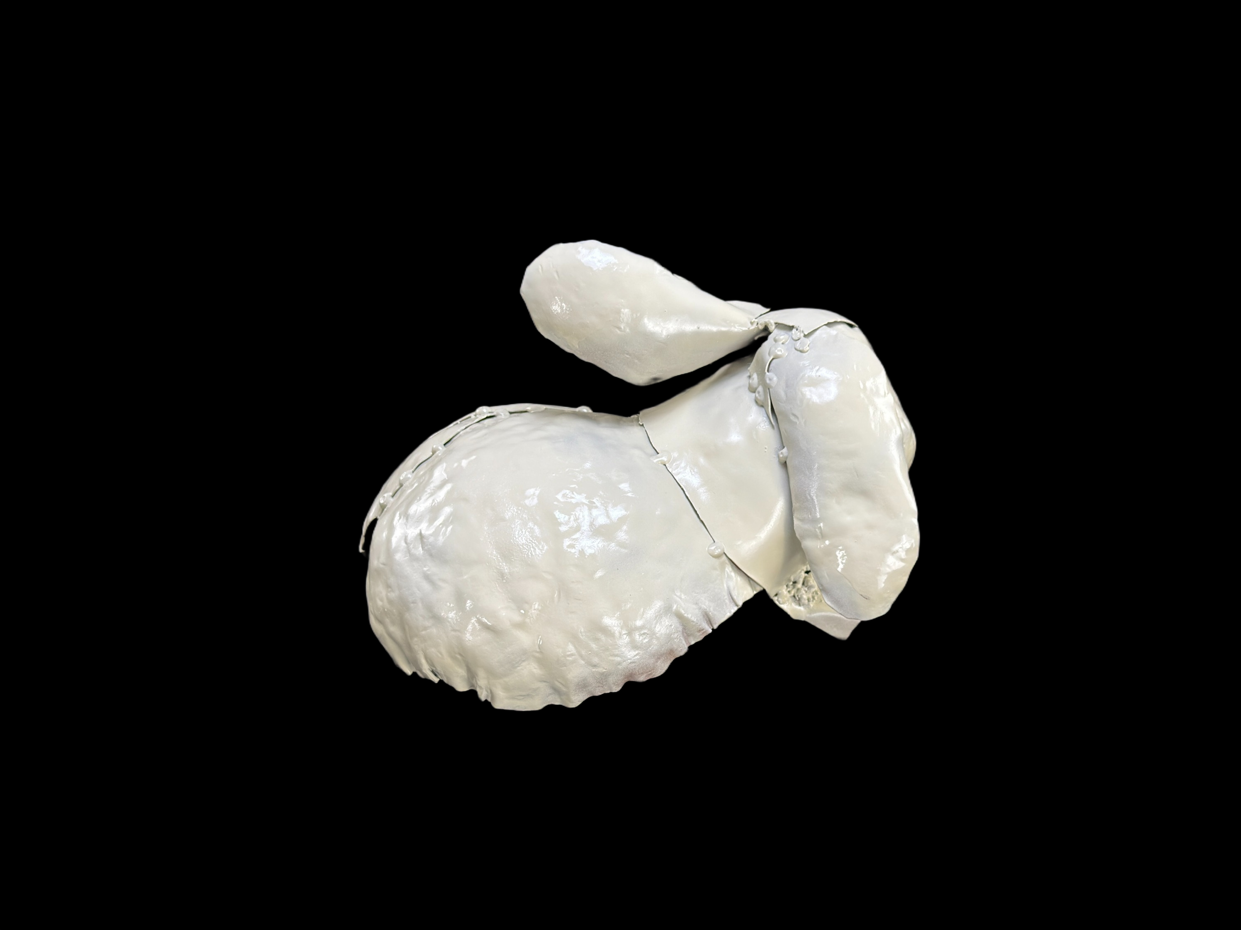 IMG_0023.png