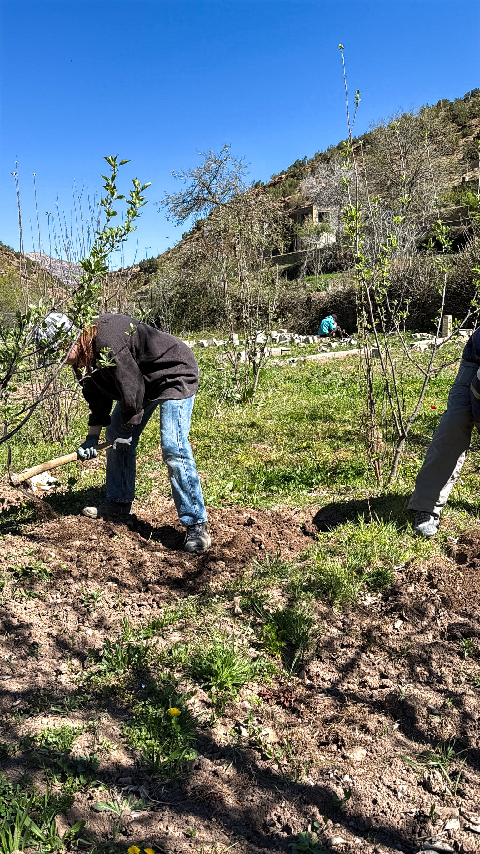 ACF_agriculture-43.jpg