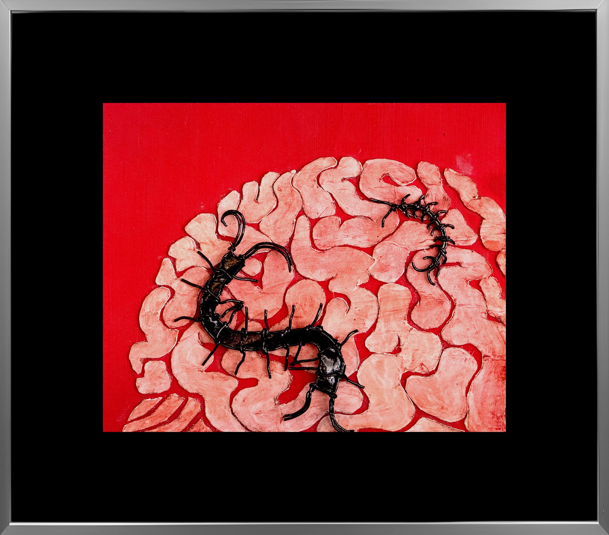 Two black centipedes on a red background, surrounded by pinkish, irregularly shaped objects.