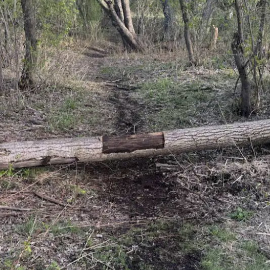 Half-Stripped Shortcut