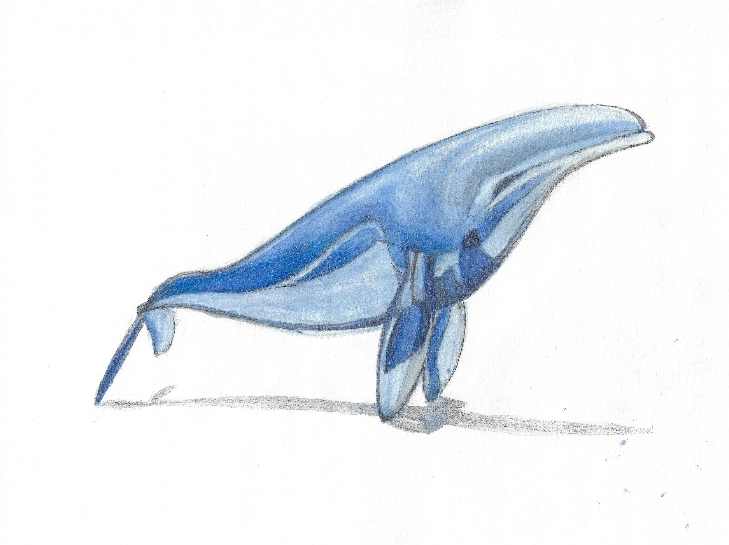 08_timeline_creative_2025_Glass_Whale.jpg