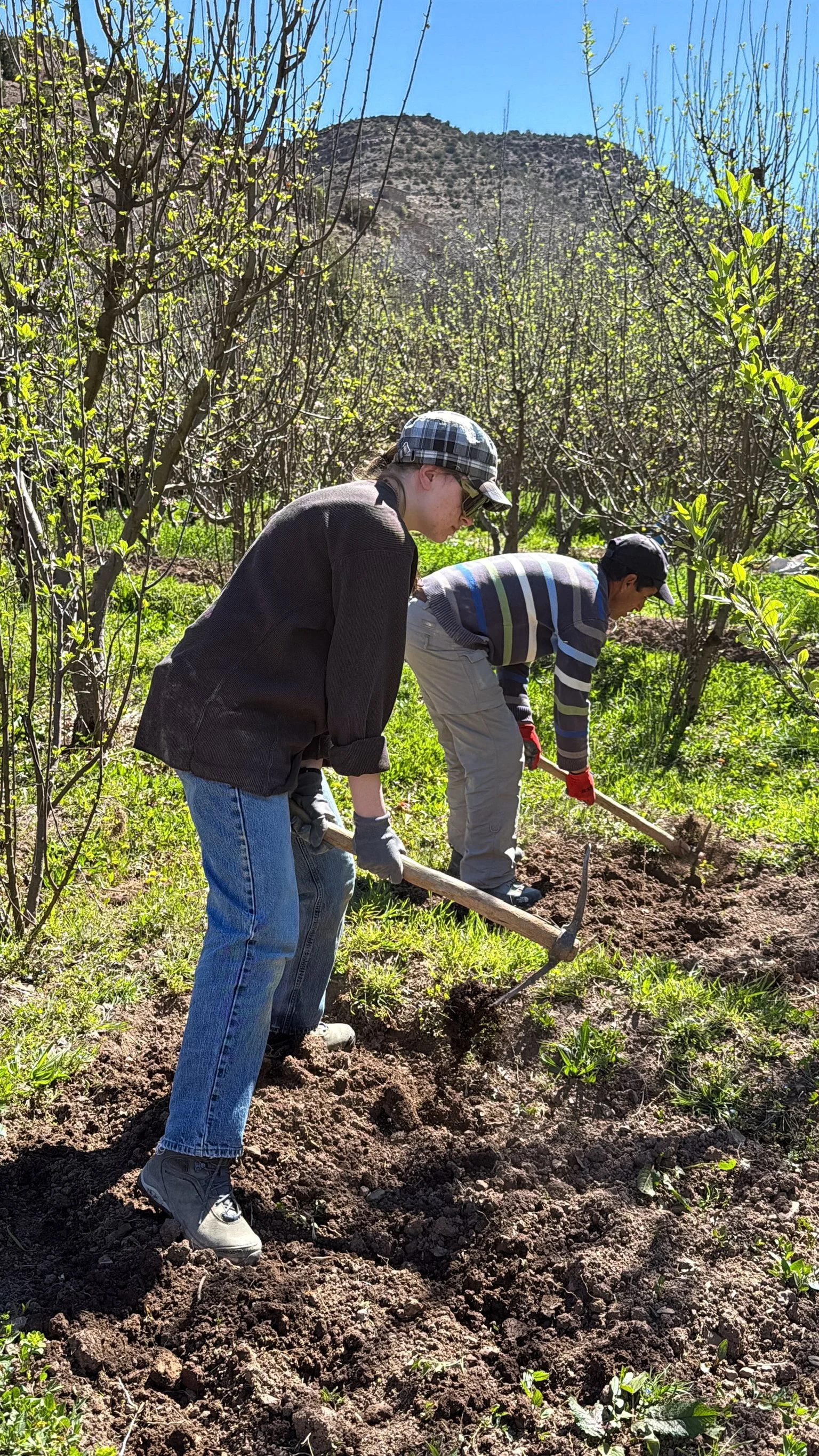 ACF_agriculture-40.jpg