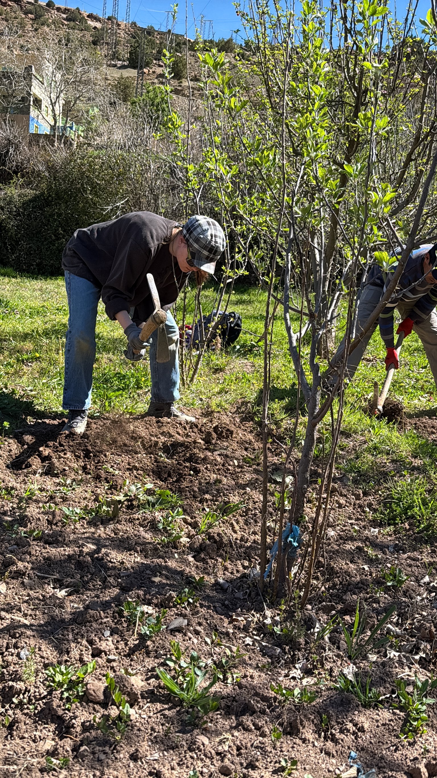 ACF_agriculture-39.jpg