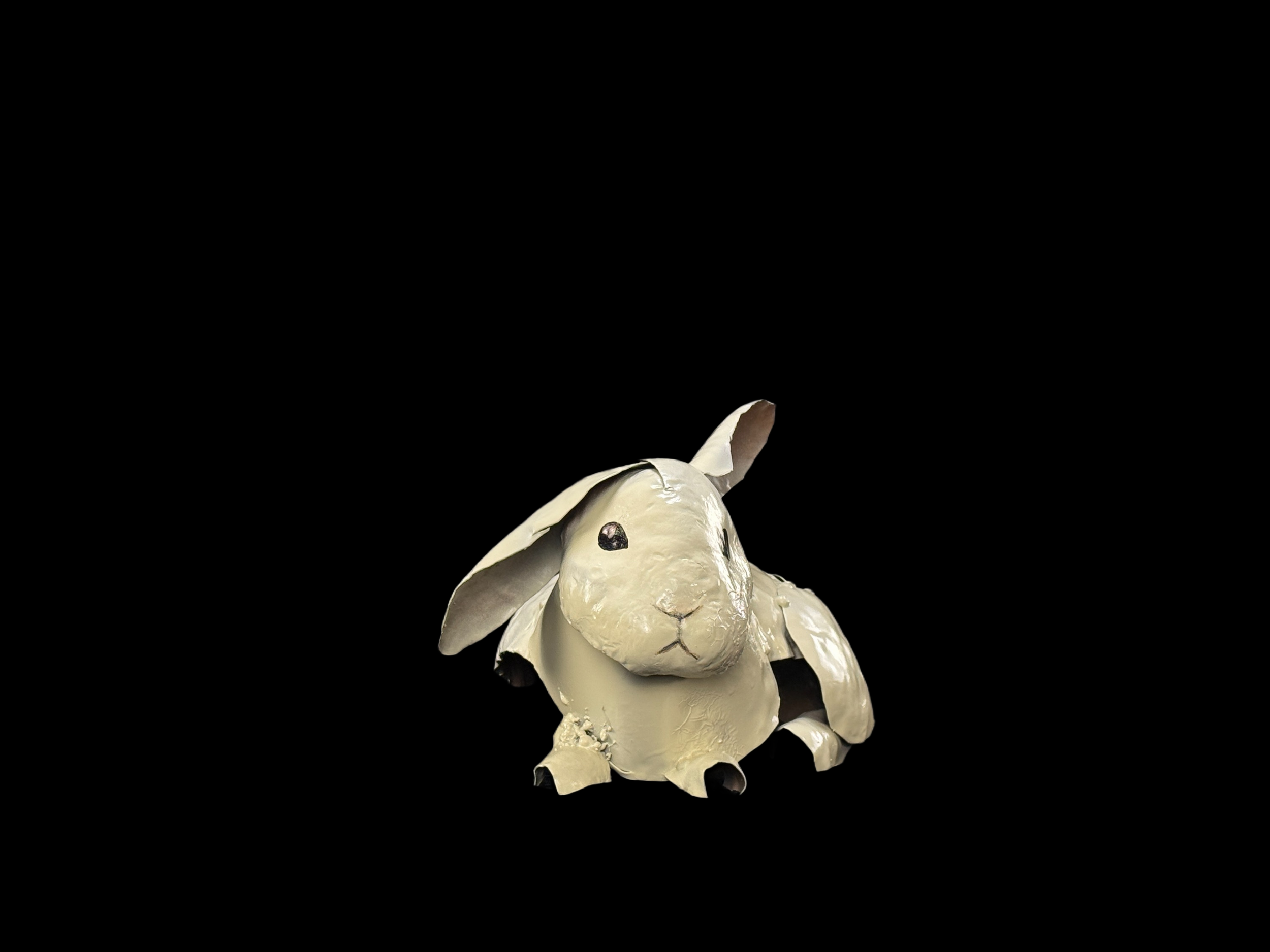 IMG_0041.png