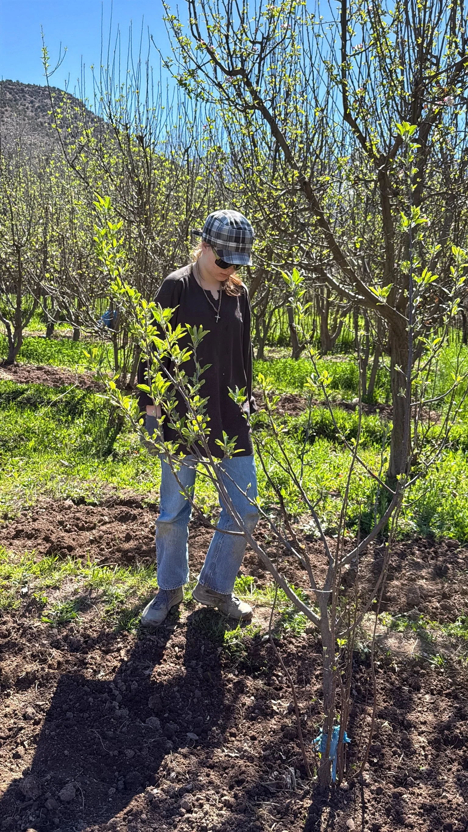 ACF_agriculture-45.jpg