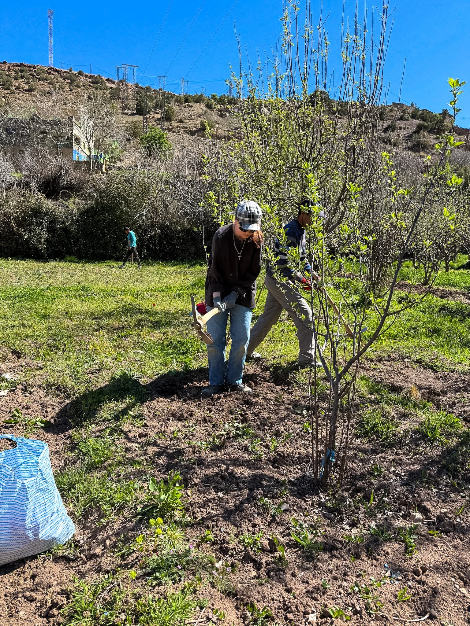 ACF_agriculture-37.jpg
