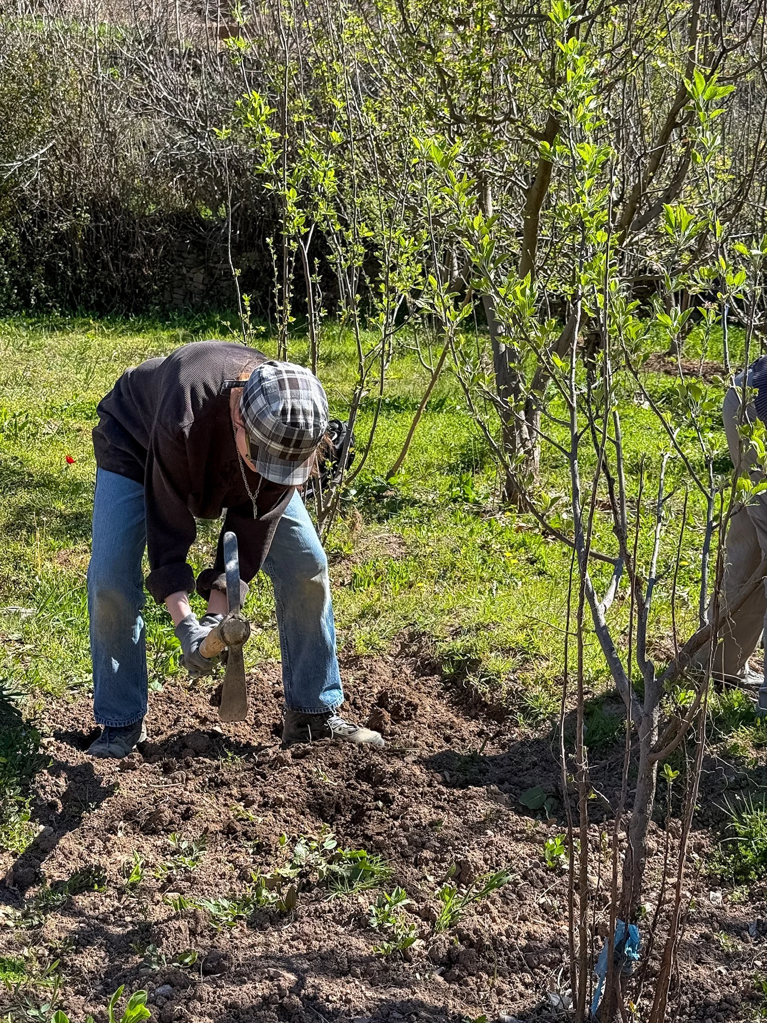 ACF_agriculture-38.jpg