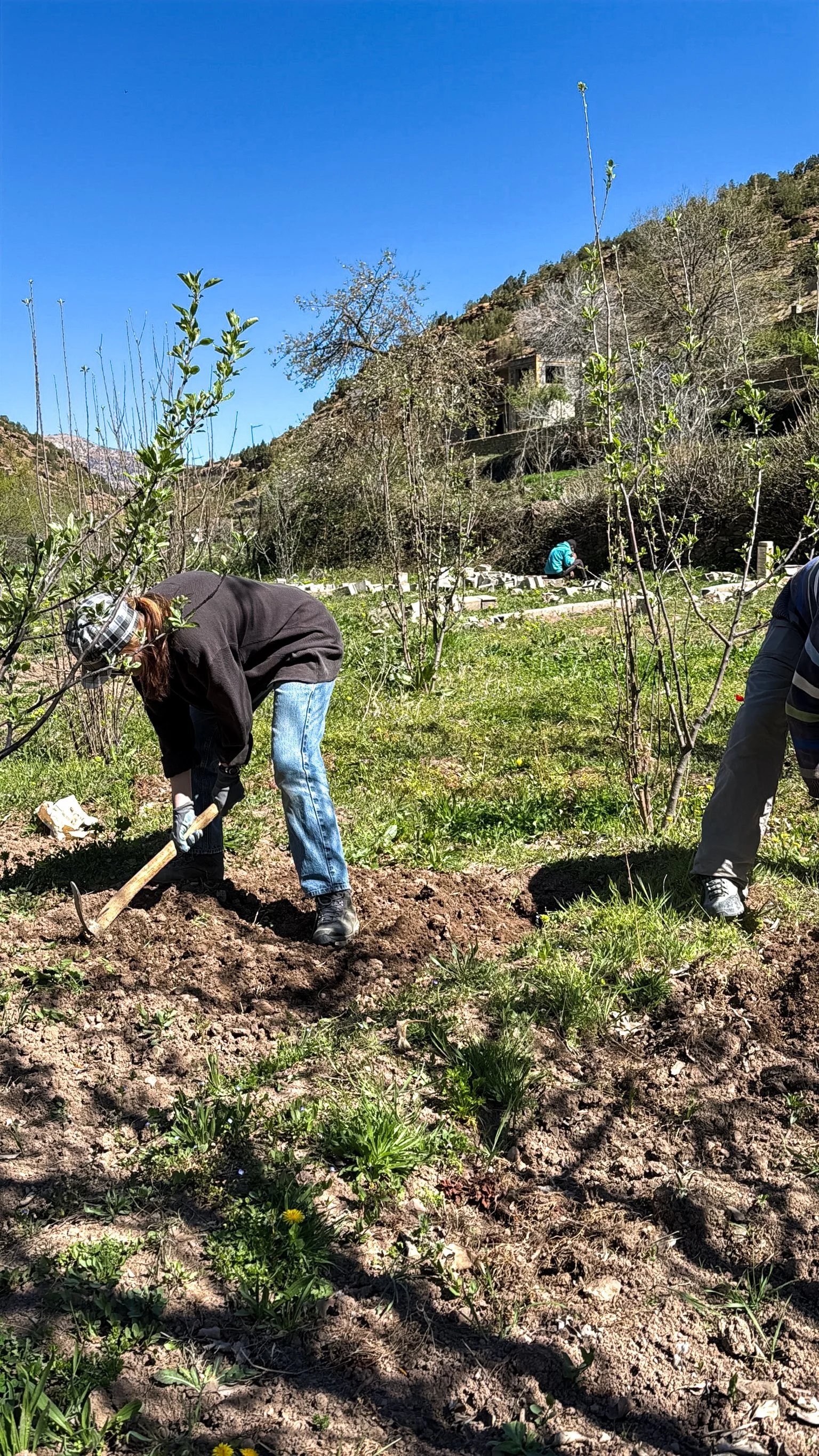 ACF_agriculture-44.jpg