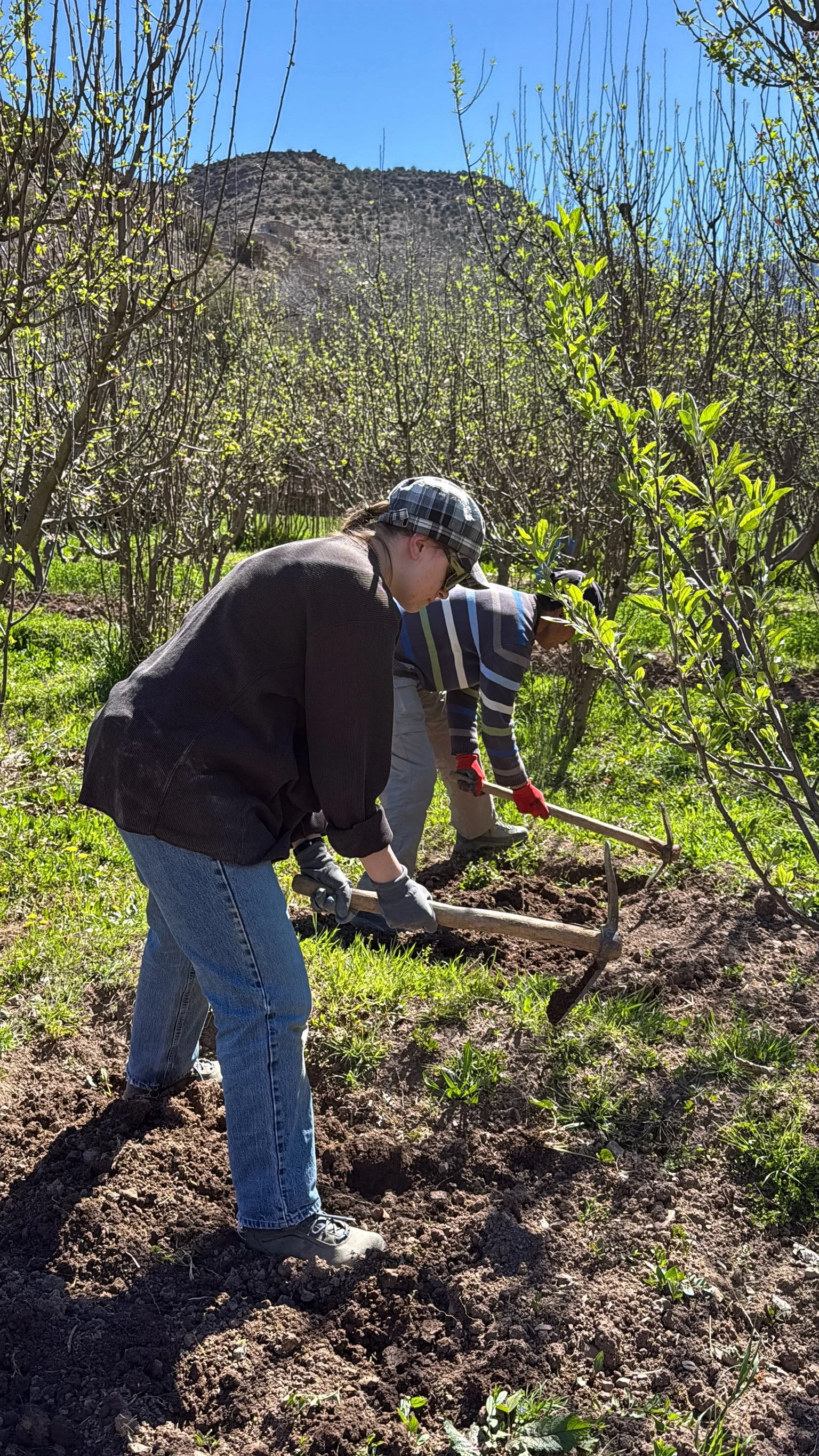 ACF_agriculture-42.jpg