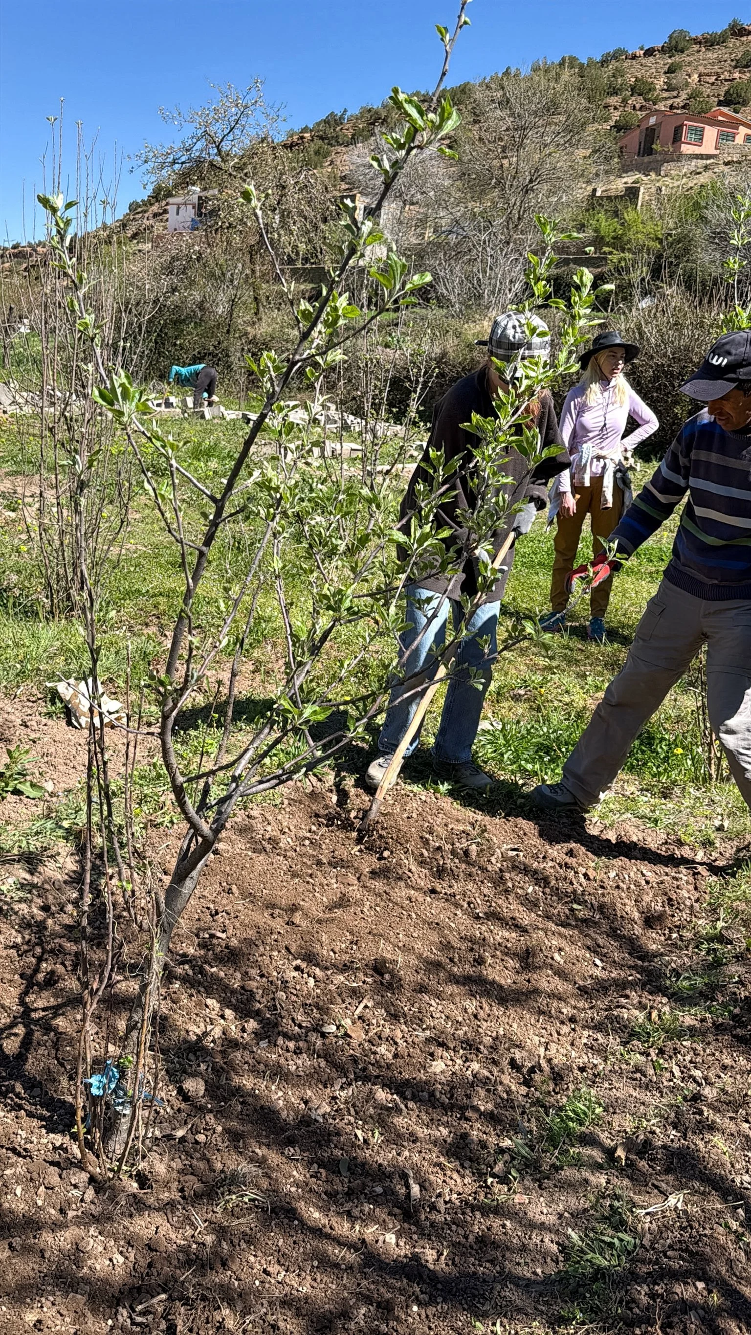 ACF_agriculture-55.jpg