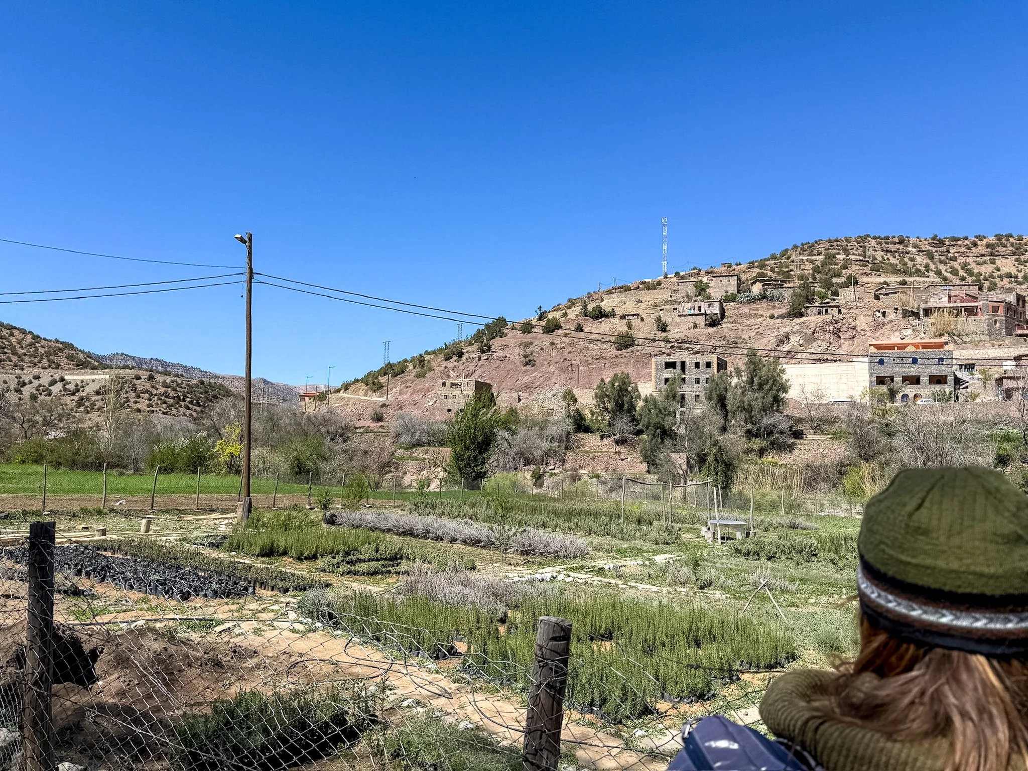 ACF_agriculture-21.jpg