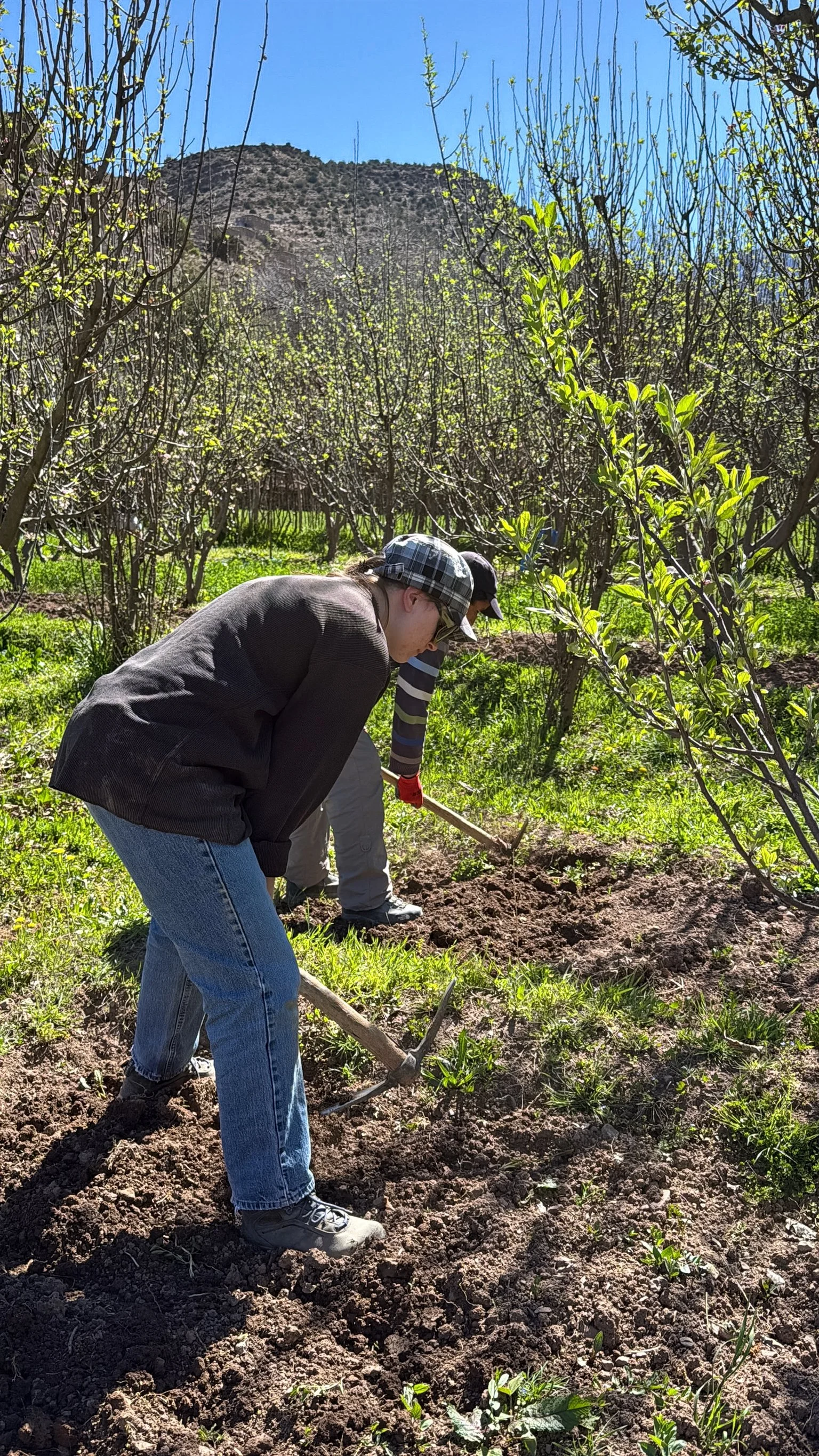 ACF_agriculture-41.jpg