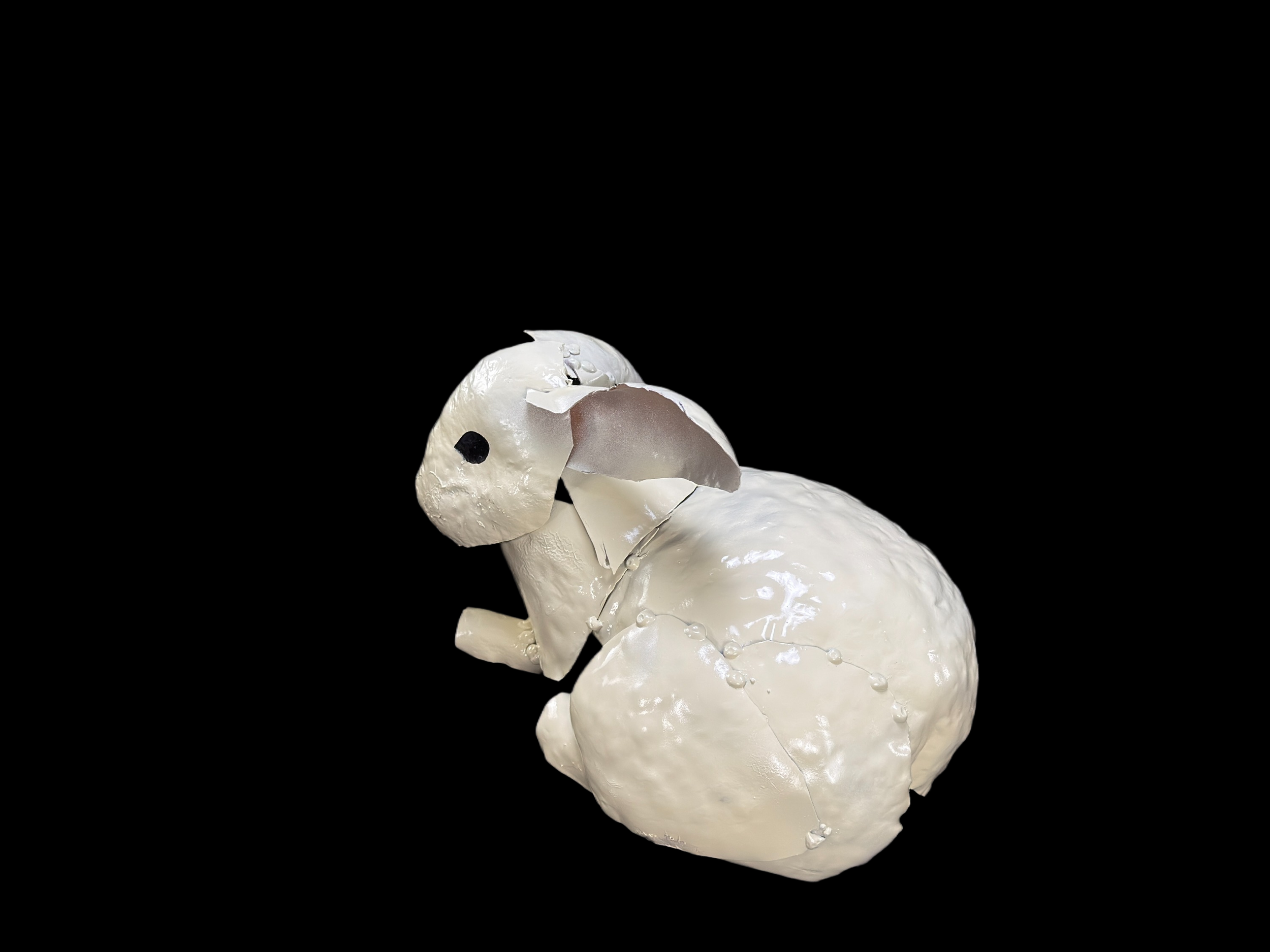 IMG_0029.png