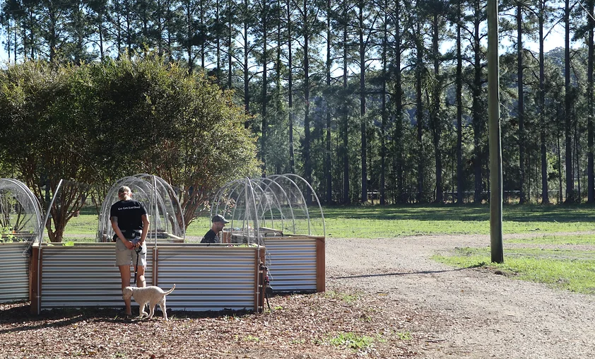 the earthing project 9.png