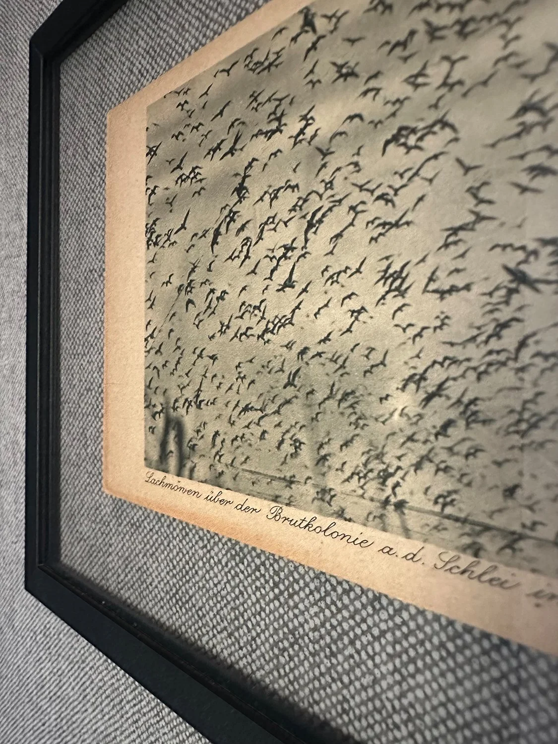 Detail Leinentapete und gerahmte Postkarte von der Schlei