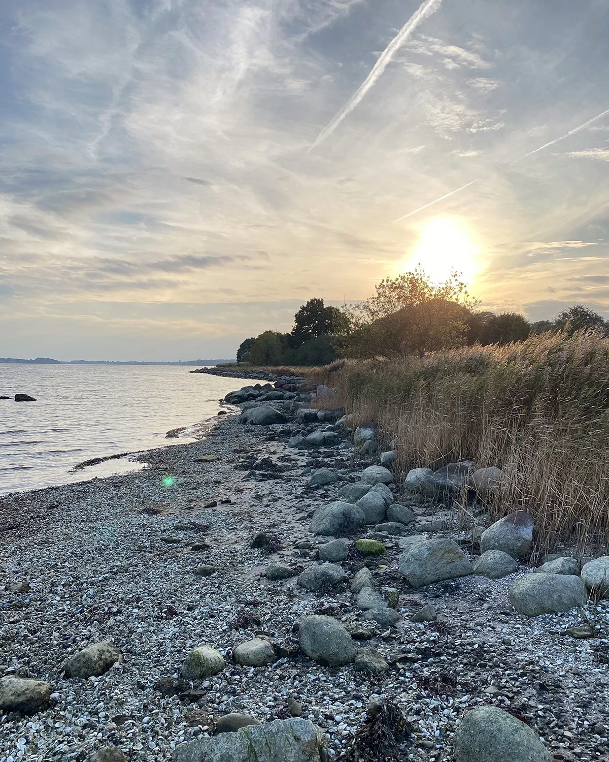Strand an der Schlei zu Sonnenuntergang