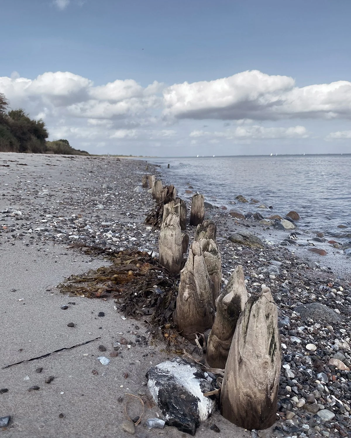 Strand in der Nähe des Ferienhauses an der Schlei im Frühjahr