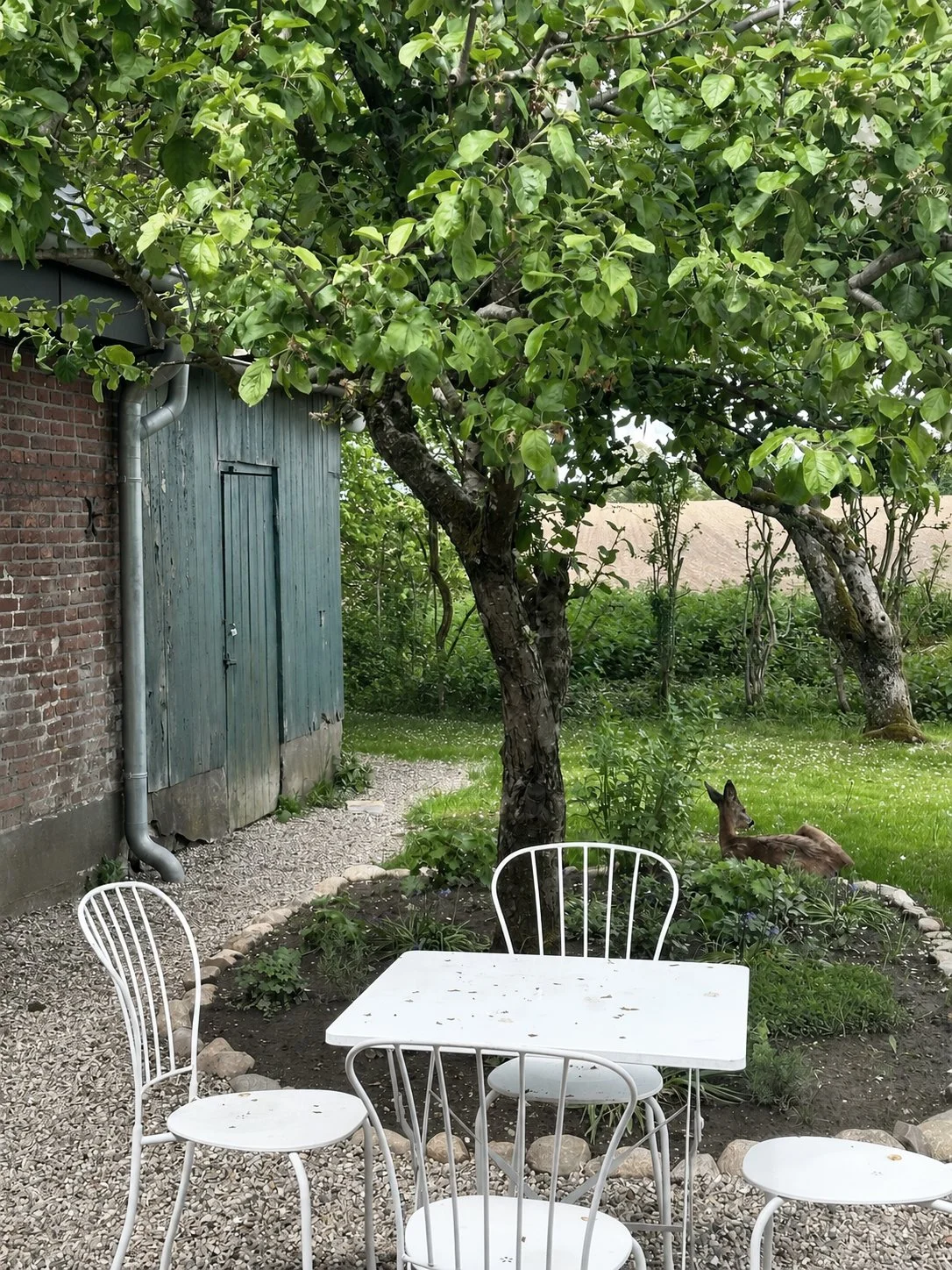 Garten_09.jpg