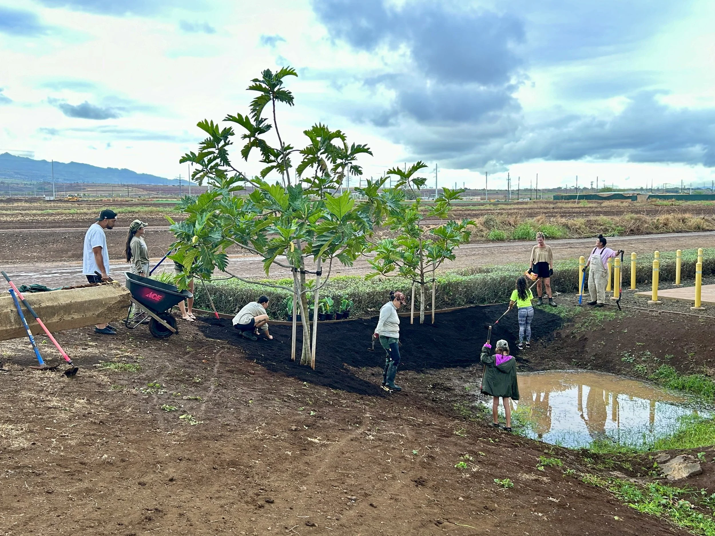 Restoring Abundance Along our Skyline