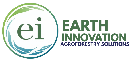 Earth Innovation