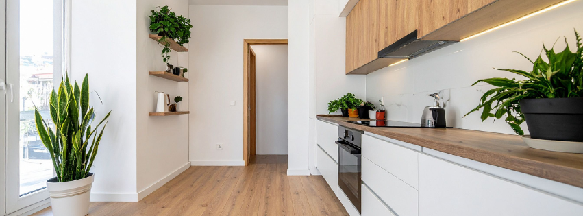 Cleaning services near me brisbane house cleaning North Brisbane - deep cleaning service North Brisbane suburbs eco-friendly cleaning North Brisbane home office cleaning North Brisbane professional cleaning North Brisbane northside regular cleaner 