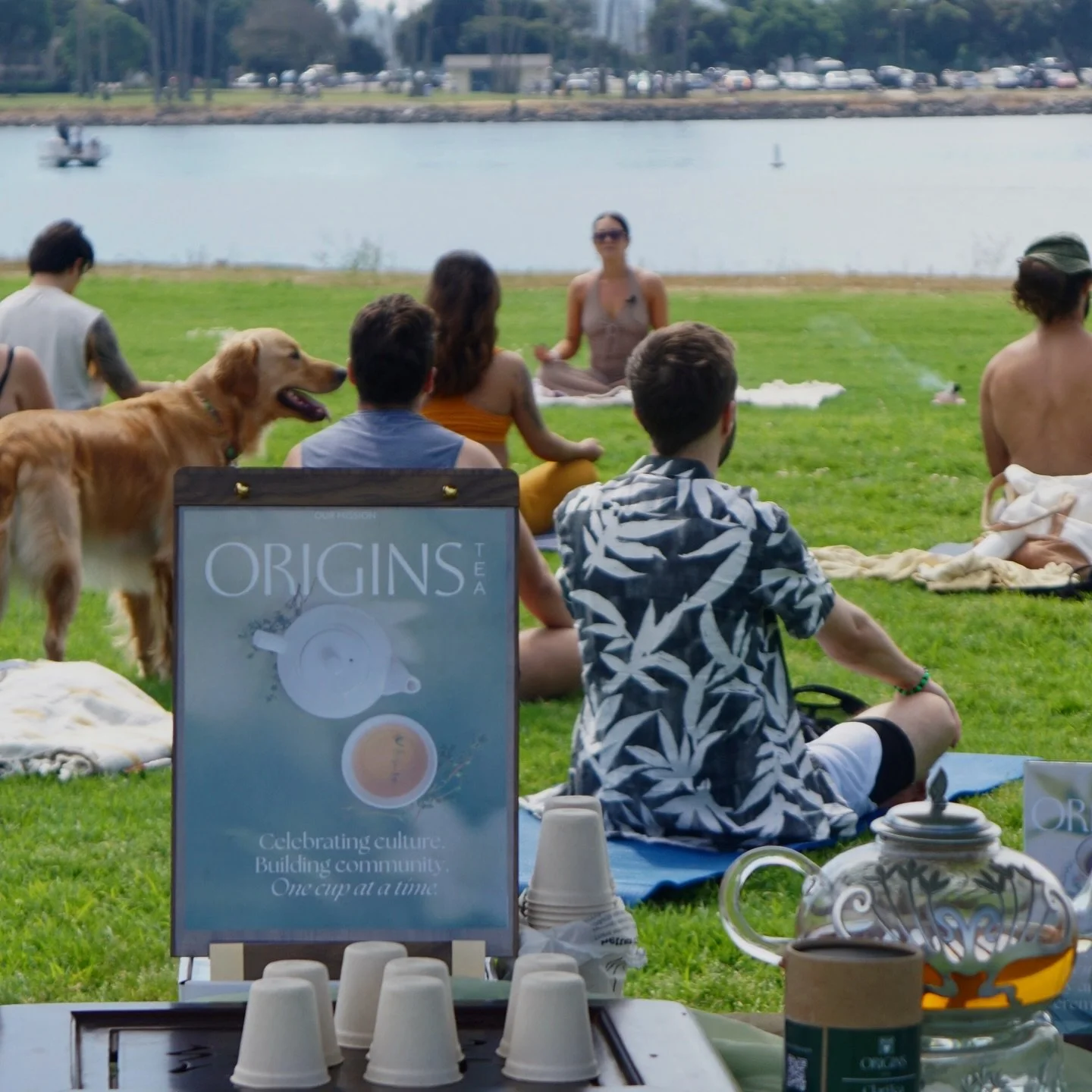 POV: you found a community space that makes you feel grounded &amp; reconnected to nature 💫 What a beautiful Sunday spent at the bay with @soultribeandvibe and @savanashlea 🤍 Tea was the perfect addition to the space&mdash;warm, calming, and best s