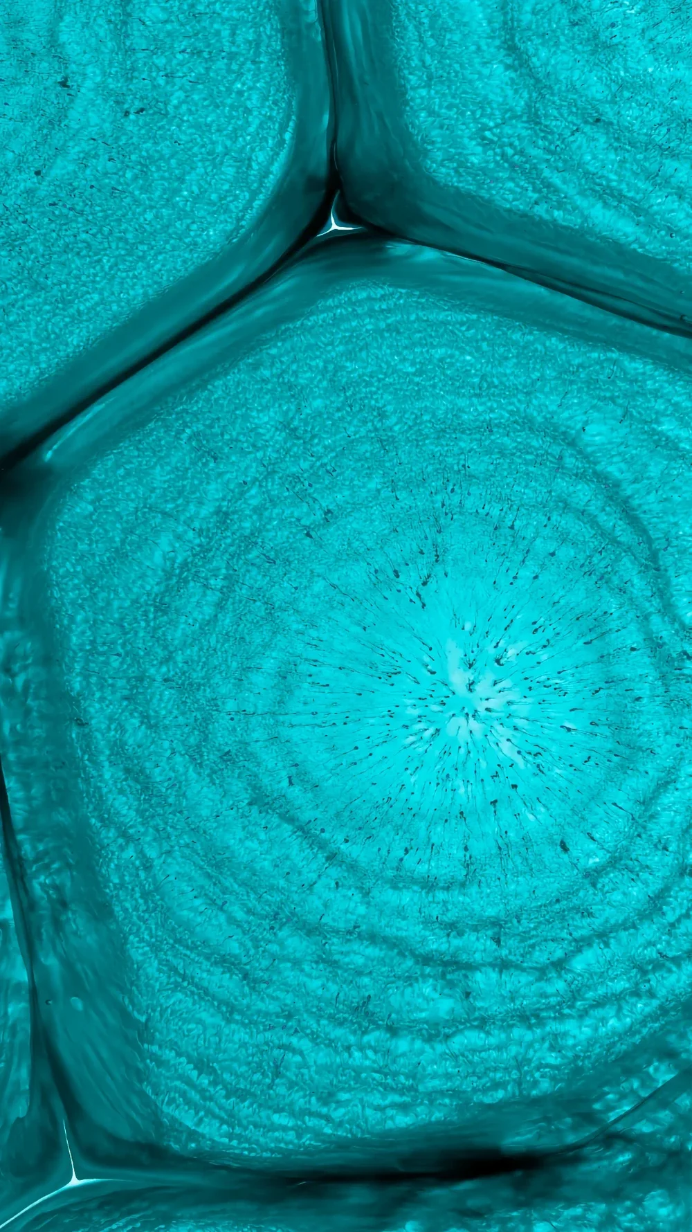 Teknologjia VolcanicFuse me minerale vullkanike