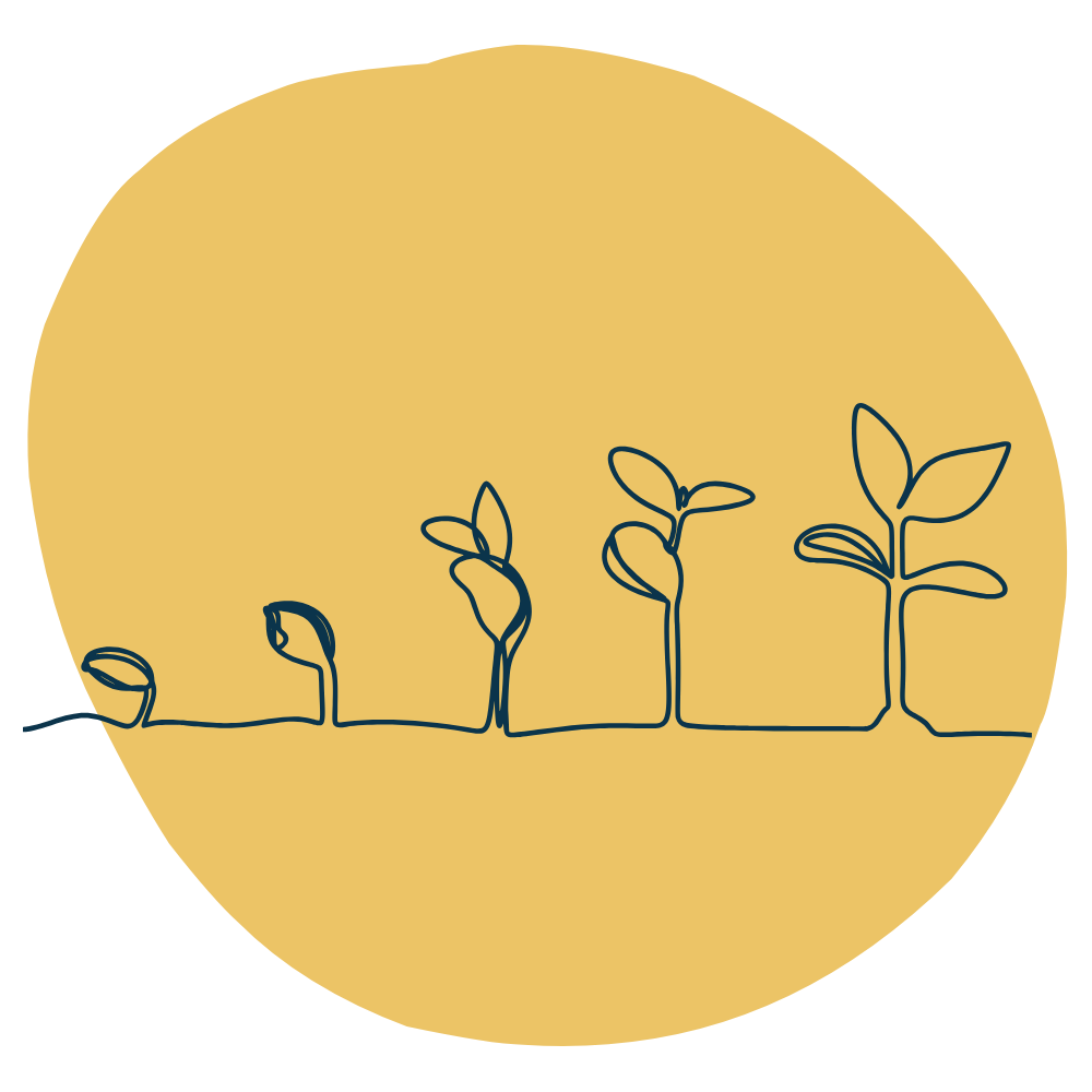 Lamplight Psychology Therapy Telehealth Gladesville Sydney