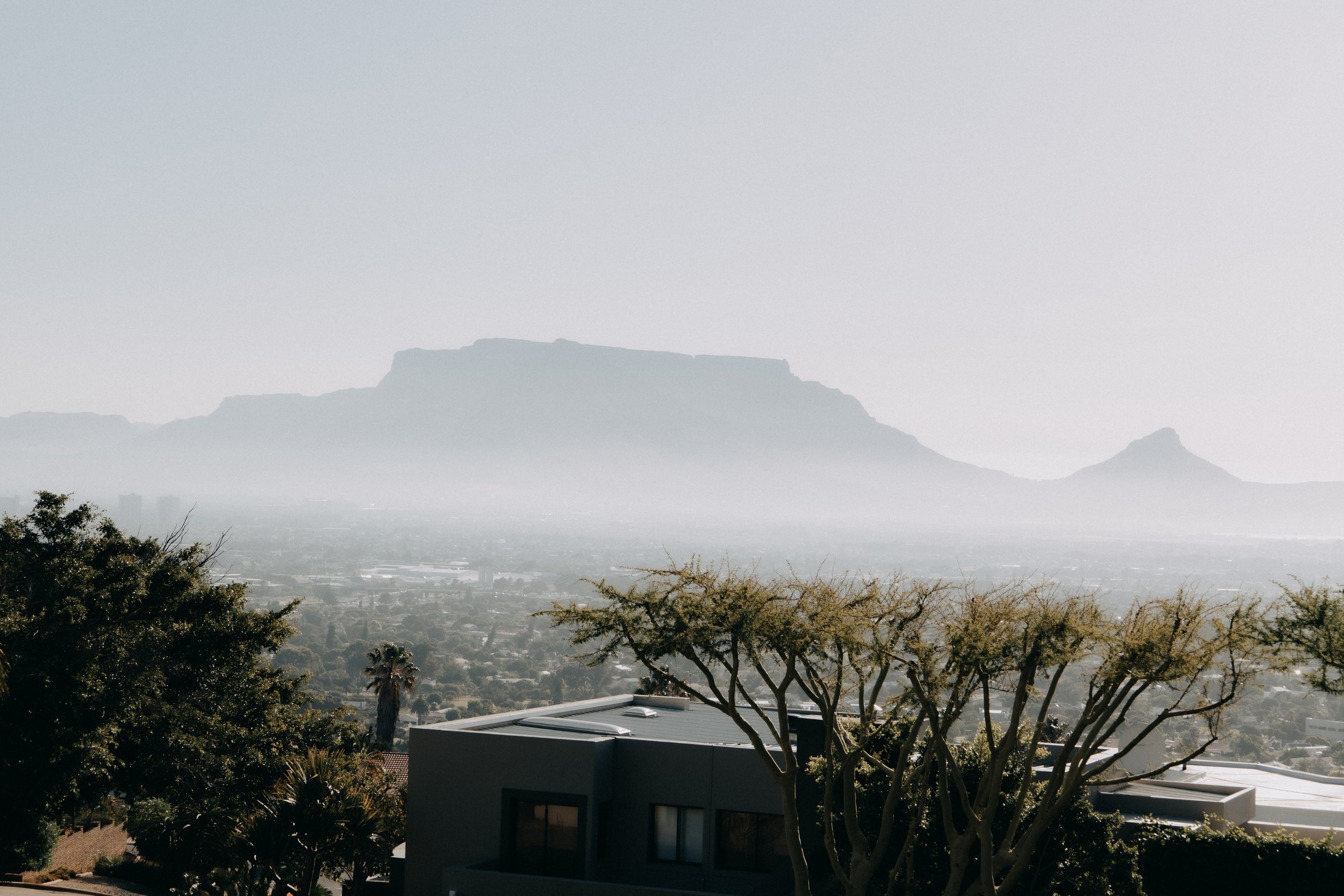 Uitzicht op Tafelberg en de omgeving in Kaapstad met bomen en huizen op de voorgrond, onder een heldere hemel.