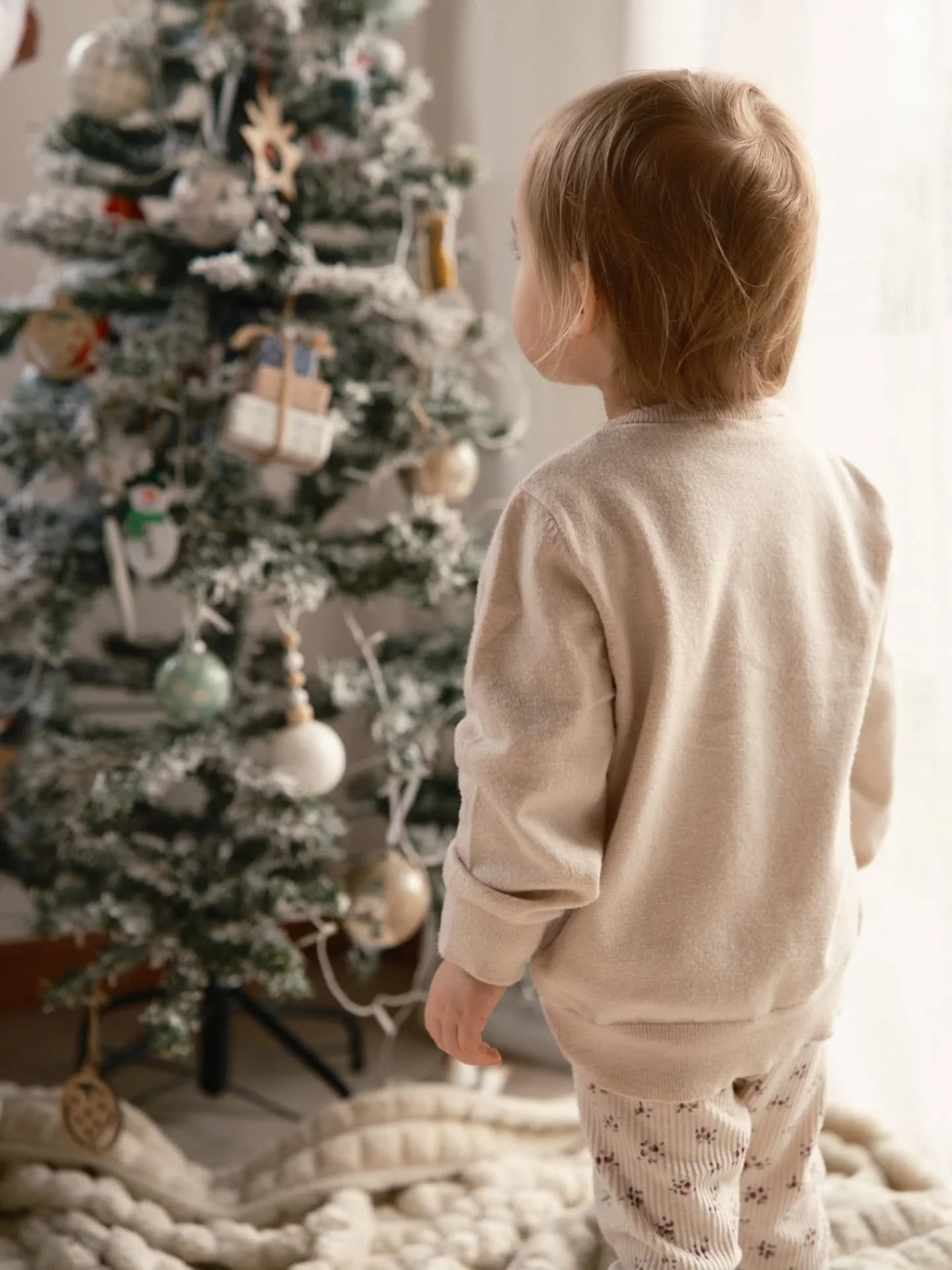 No&euml;l 2025.

Joyeux No&euml;l &agrave; tous.
Profitons !