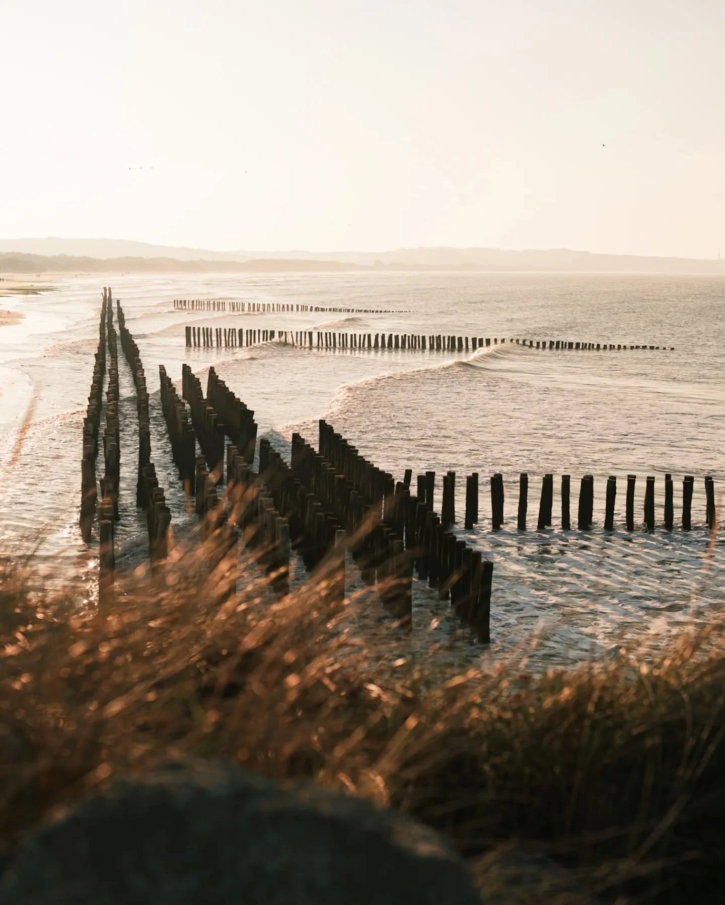 Wissant &amp; ses lumi&egrave;res d'hiver.

Balade apr&egrave;s les longs repas en famille de No&euml;l.
Profiter et ralentir avant les prochains repas. 💪

Elodie | Photographe famille et maternit&eacute;. 
📍C&ocirc;te d'Opale &amp; Lille. 
✉️ hell