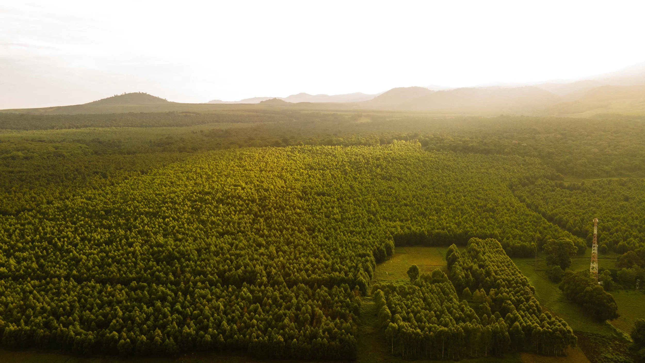 DJI_0678.jpg