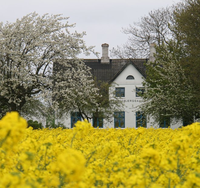 Turn Intention Into Action