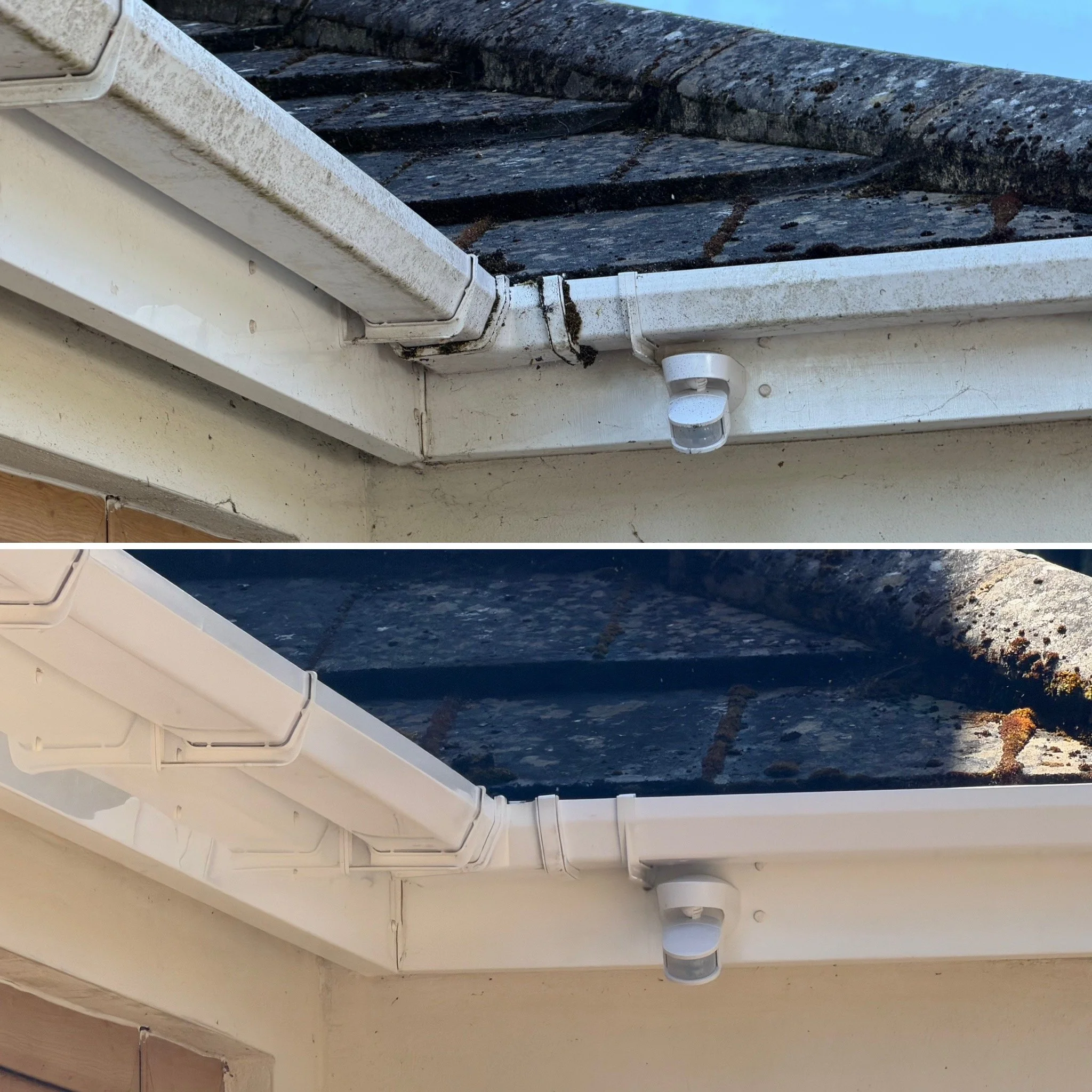 Fascia & Soffit Cleaning