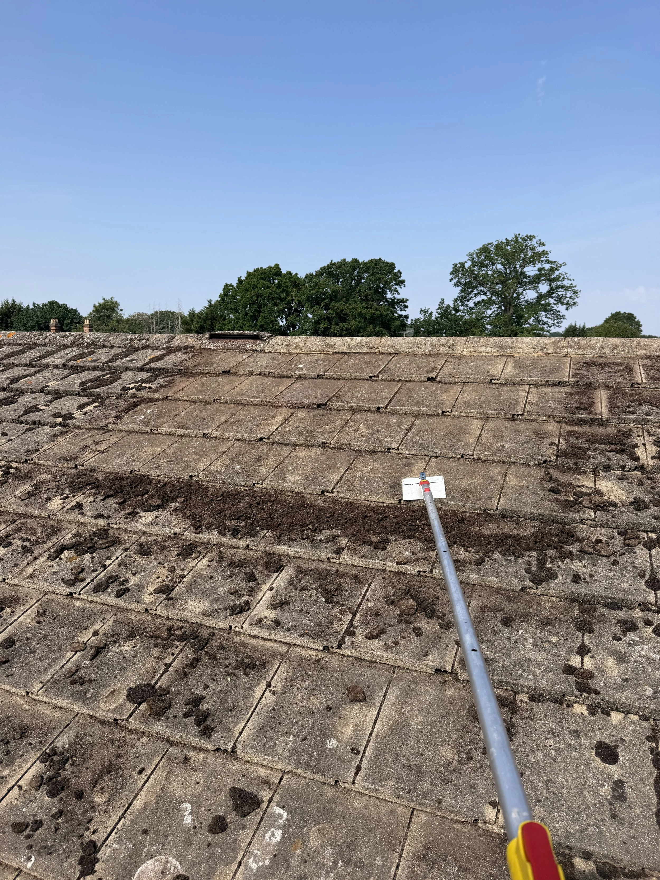 Roof Cleaning