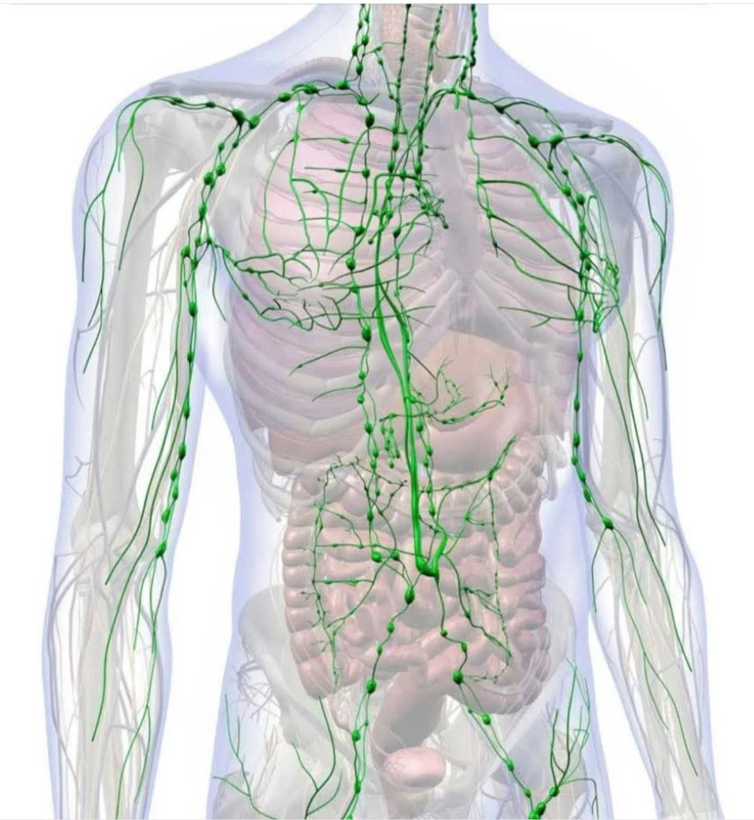 Lymphatic Drainage Massage