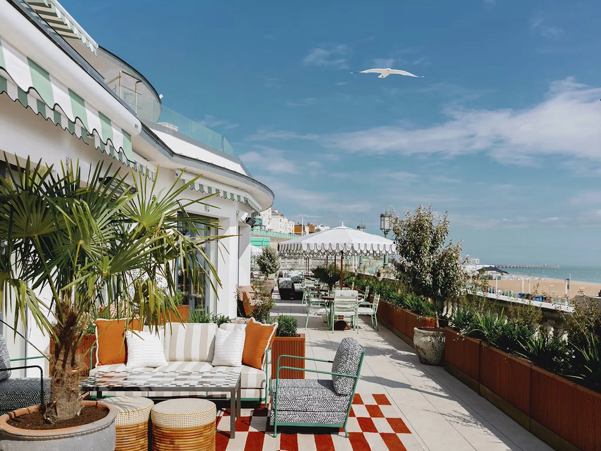 Outdoor terrace with chairs, tables, and potted plants overlooking a beach with the ocean in the distance and a gull flying in the blue sky.