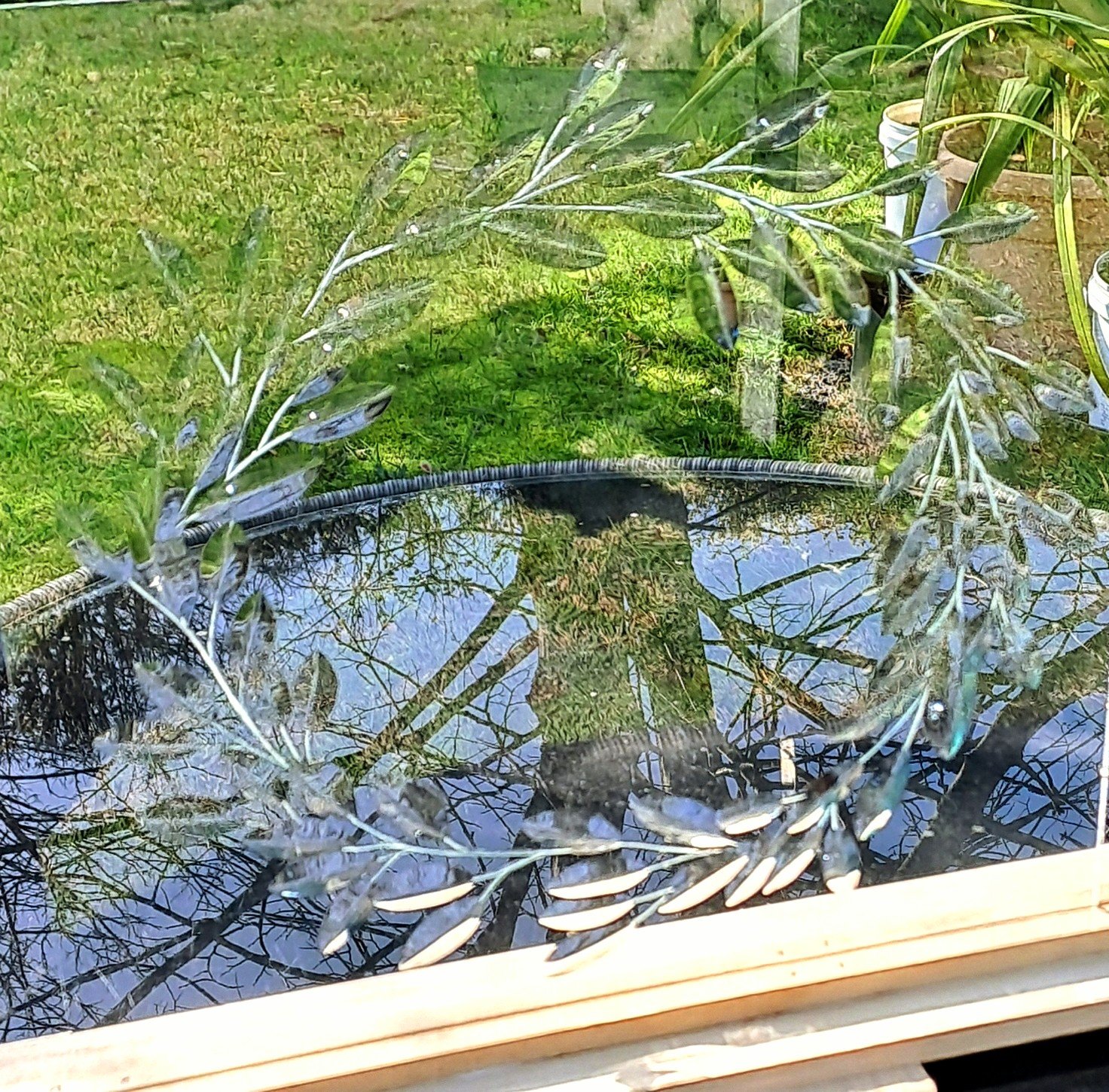 Brilliant cut, polished