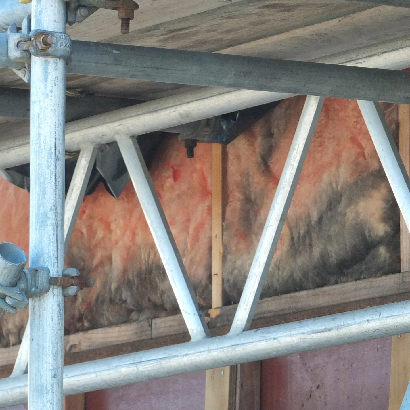 mouldy insulation.png